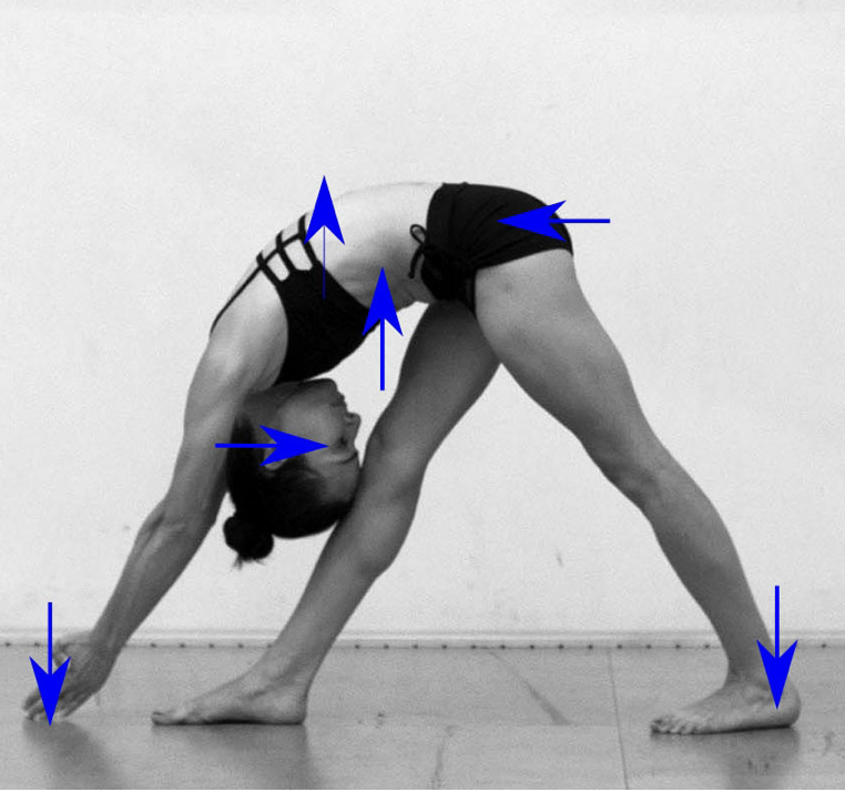 A woman in athletic clothing practicing yoga in a downward dog pose with her body bent forward, hands on the floor, and legs straight, against a plain wall.