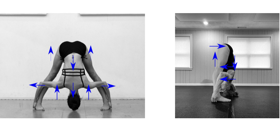 Two women demonstrating yoga poses with blue arrows indicating body movements, one in a forward bend with hands on the floor and the other in a headstand with extended arms.