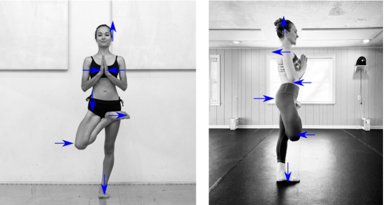 A side-by-side comparison of two women practicing yoga in different settings, with arrows pointing to different body parts.