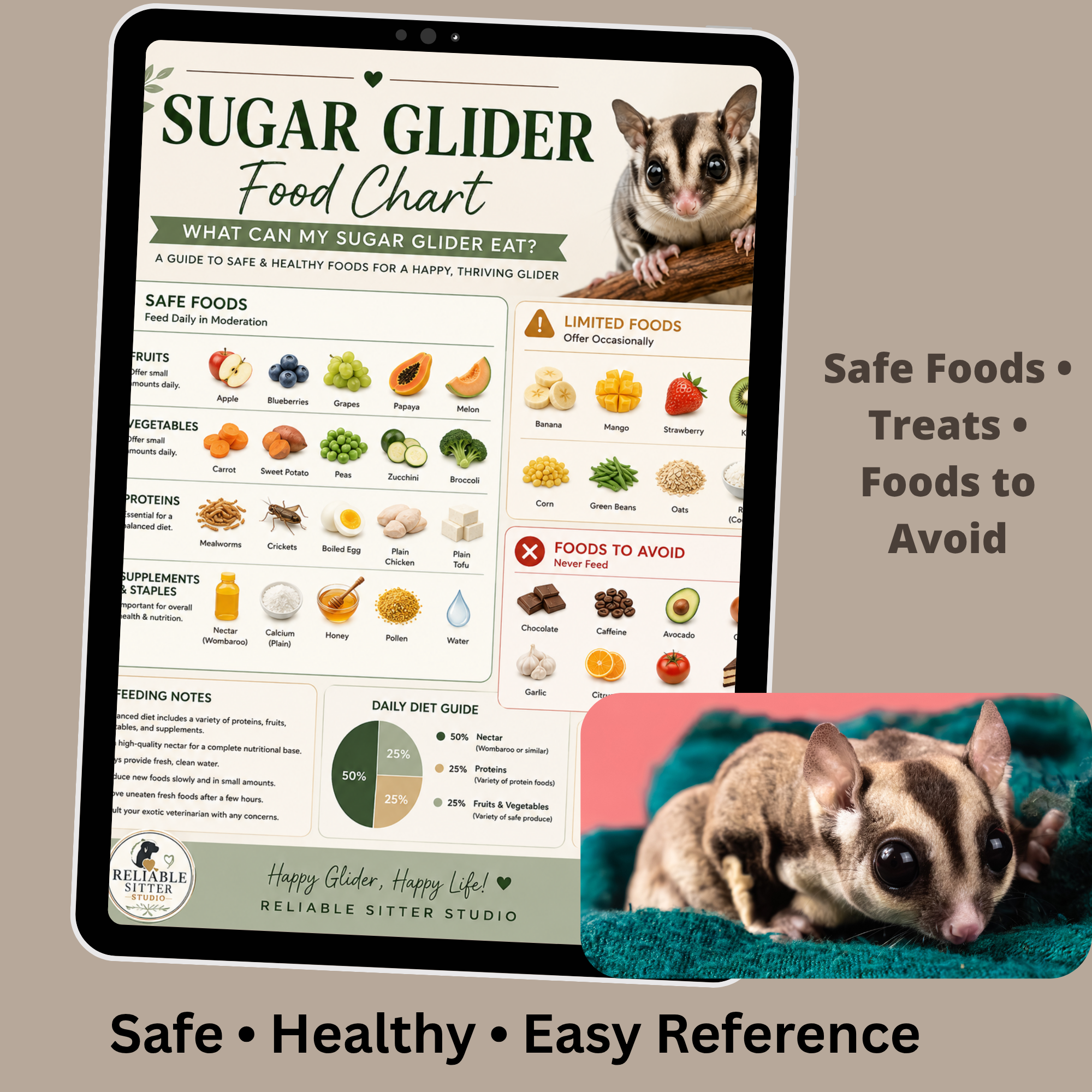 Sugar Glider Food Chart printable showing safe foods, treats and foods to avoid