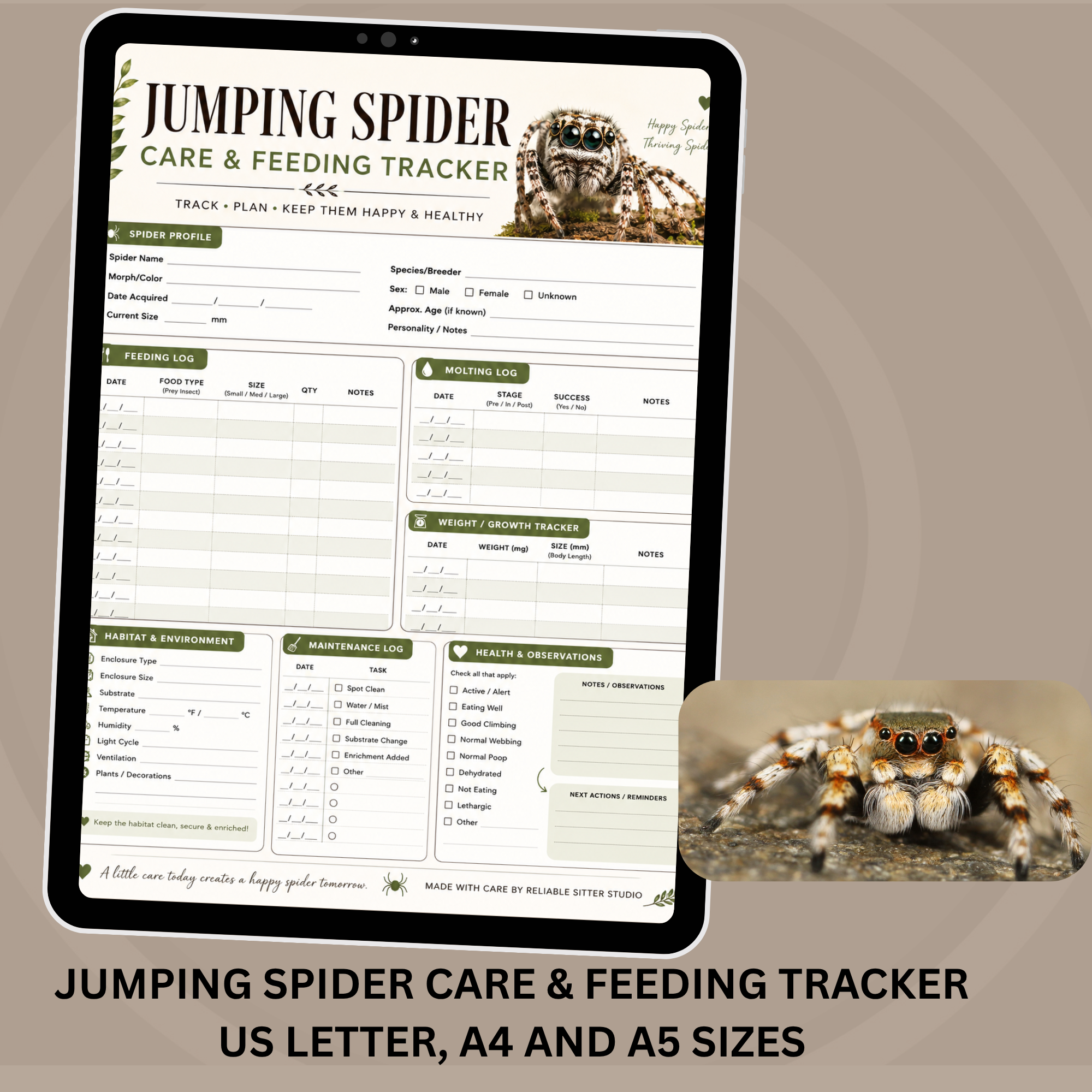 Jumping Spider Care and Feeding Tracker printable in US Letter, A4 and A5 sizes
