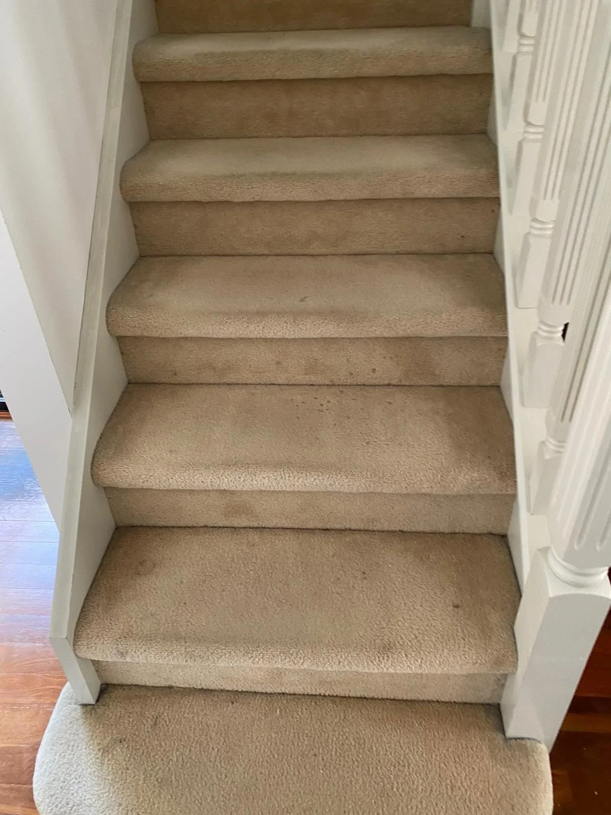 We bring carpets back to life! Before and after shots of a recent exit carpet clean 🧼🧹🙏 #pristine #carpetcleaning #melbourne #vacateclean