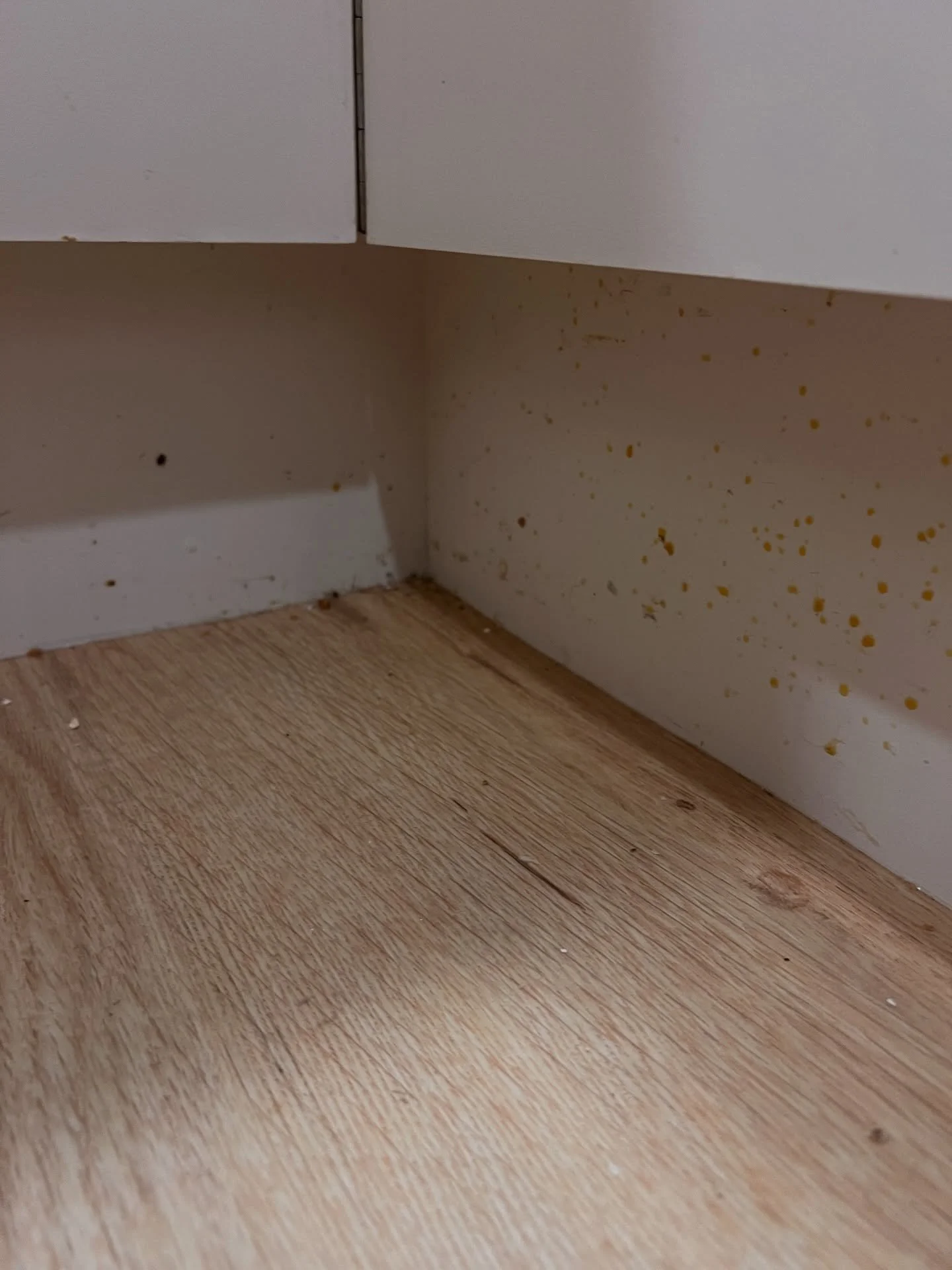 It&rsquo;s the details that make the difference ✨ 
Clean kitchen kickboards for a truly finished look.

	&bull;	Don&rsquo;t forget the kickboards &mdash; often overlooked, always satisfying when clean.

#cleaning #pristine #clean #kitchen #kickboards