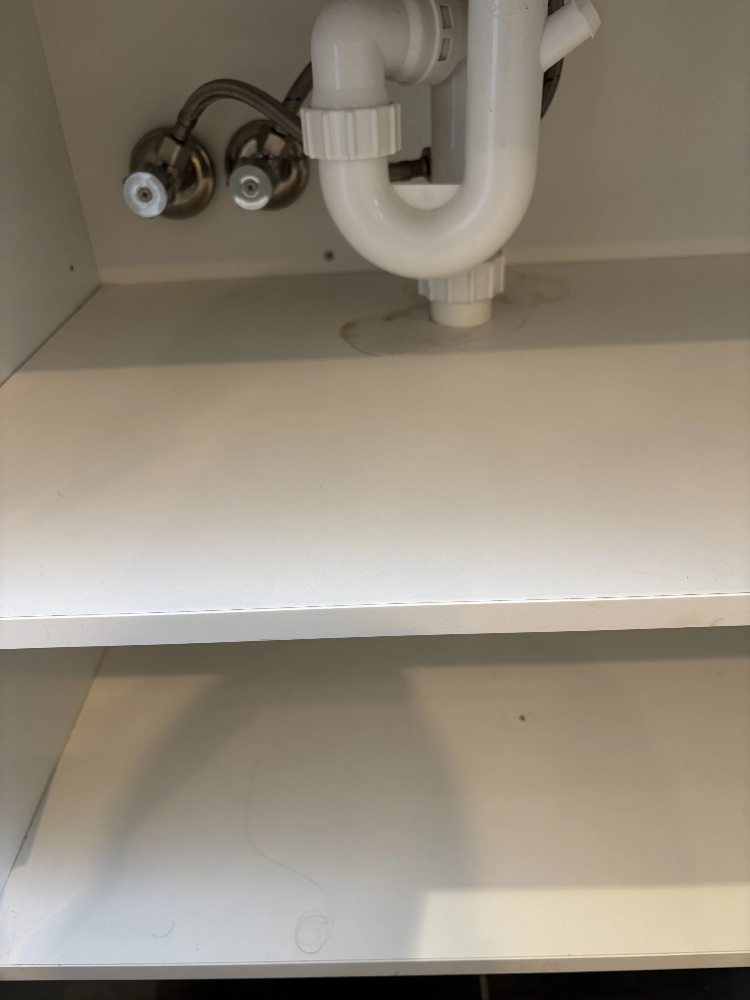 IMG_2363.jpeg