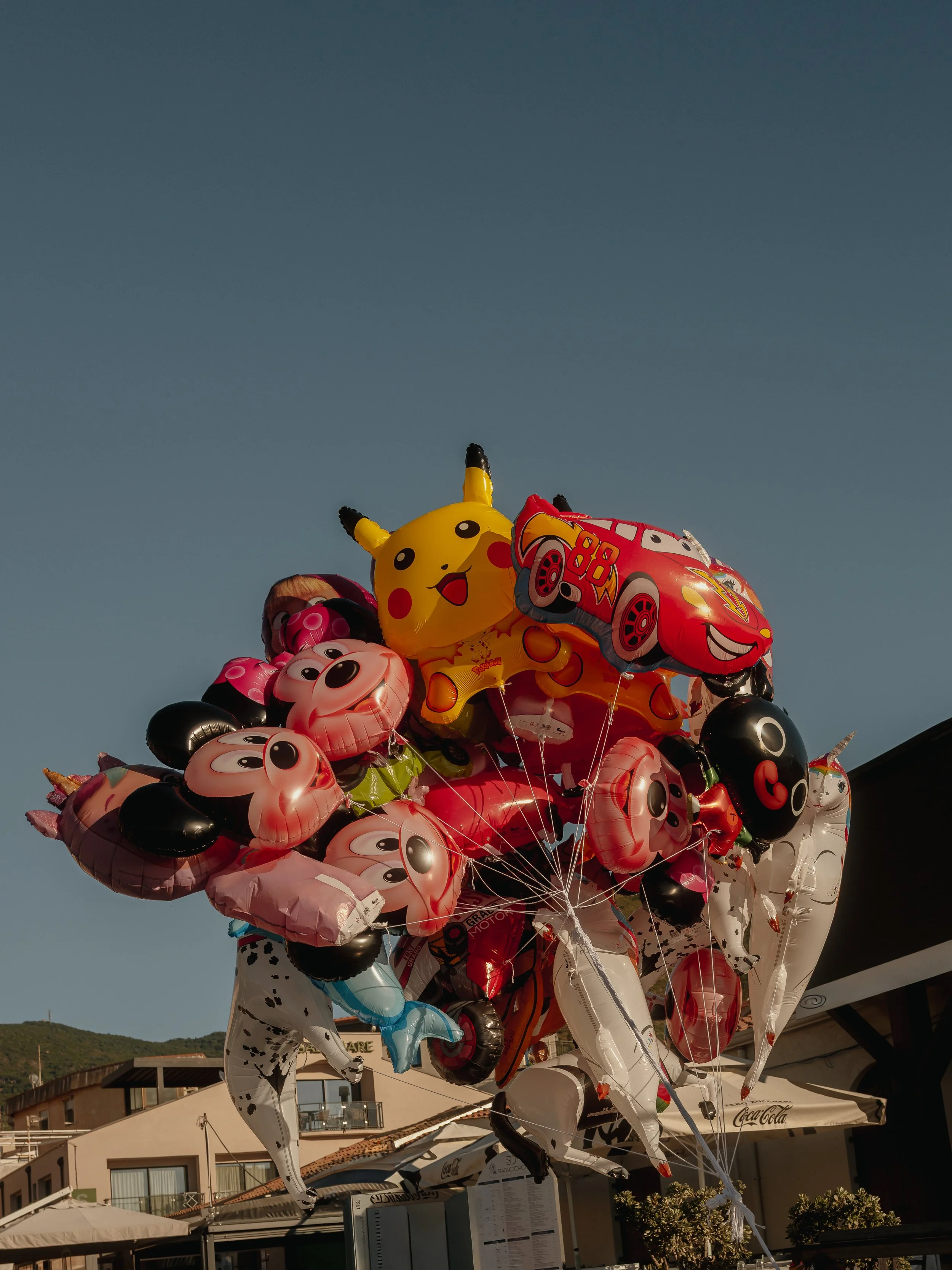 L1061485.jpg