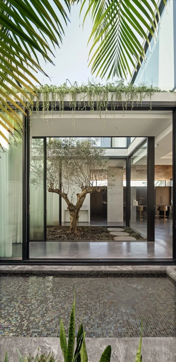 Modern house with large glass sliding doors, featuring an indoor garden with a small, leafless tree and stepping stones, surrounded by tropical plants.