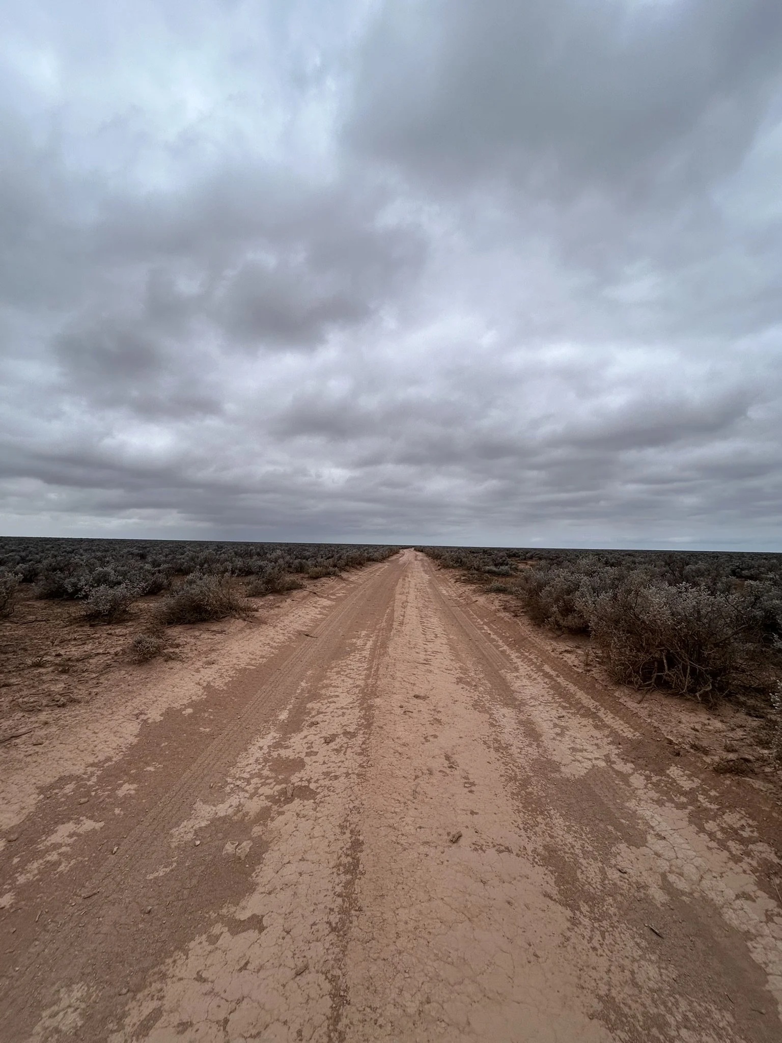 Nullarbor Plain