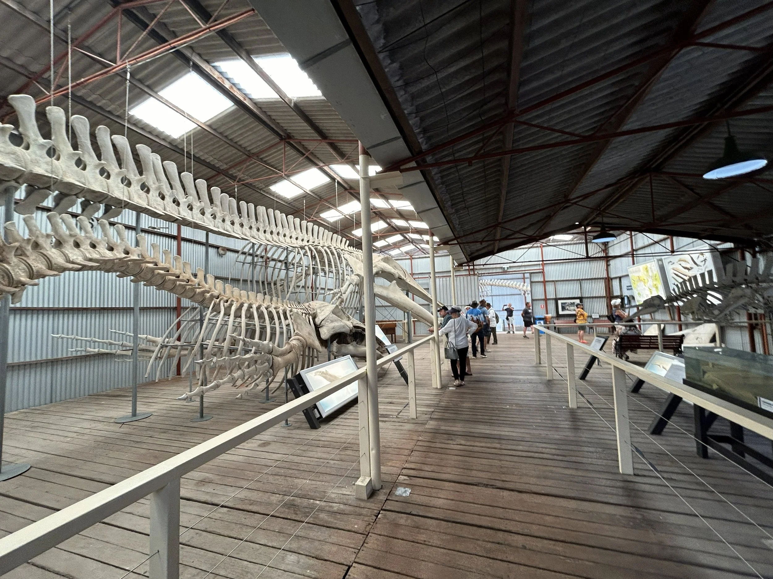 Historic Whaling Station - Albany