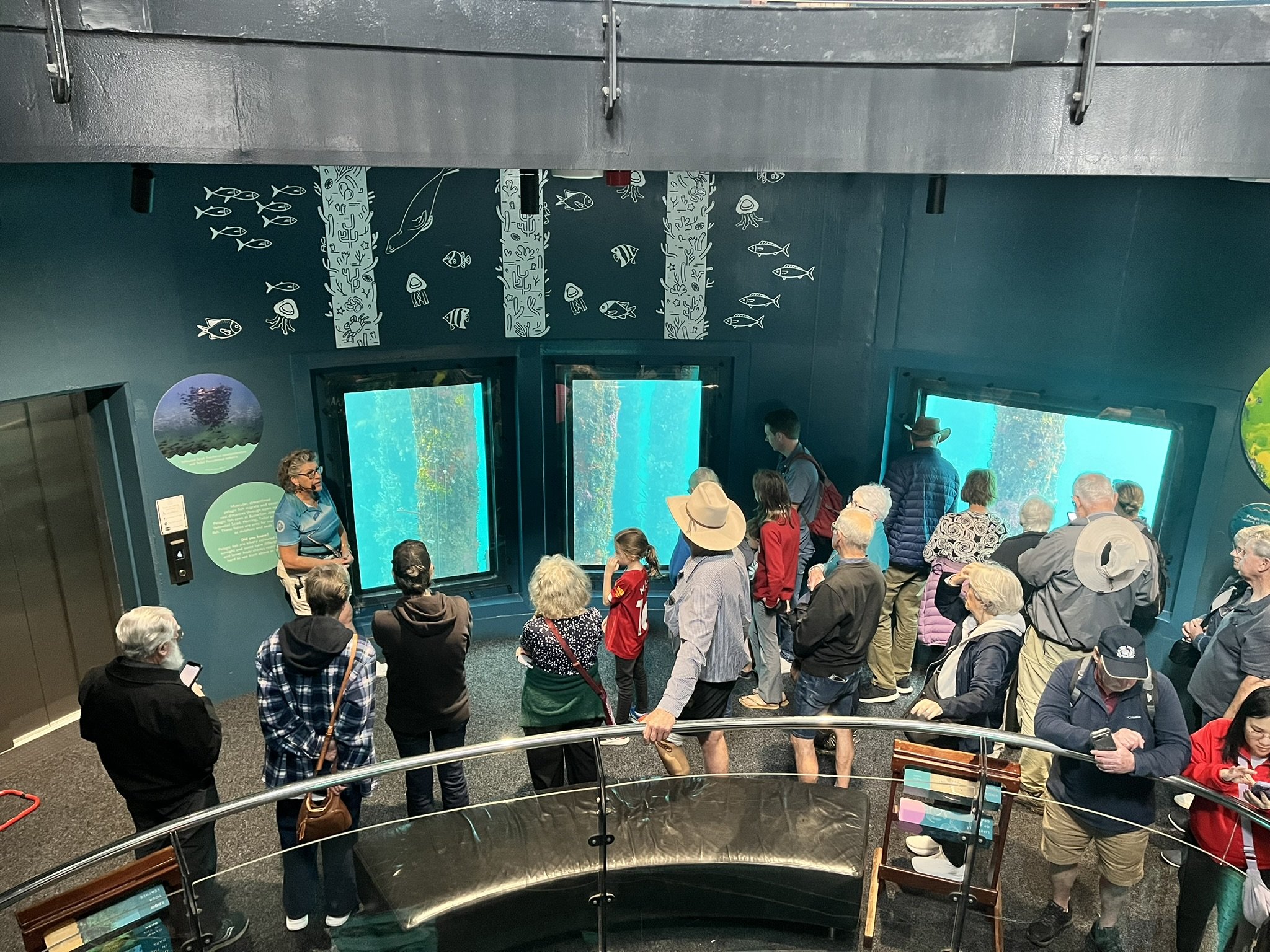 Busselton Jetty Underwater Observatory - Busselton