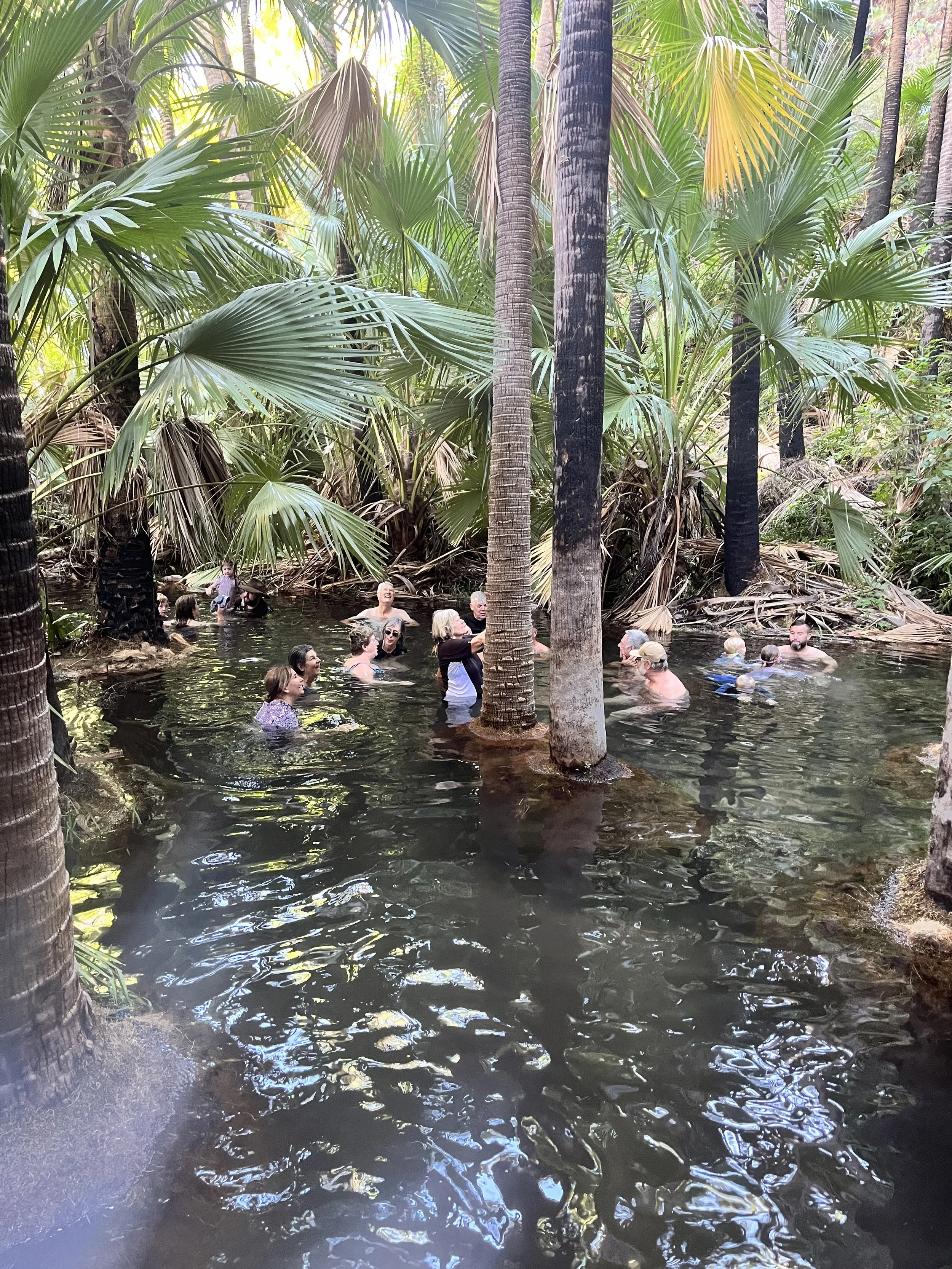 Zebedee Springs