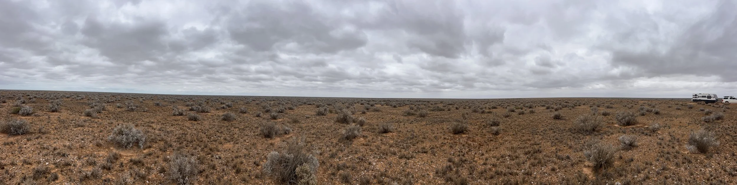 Nullarbor Plain