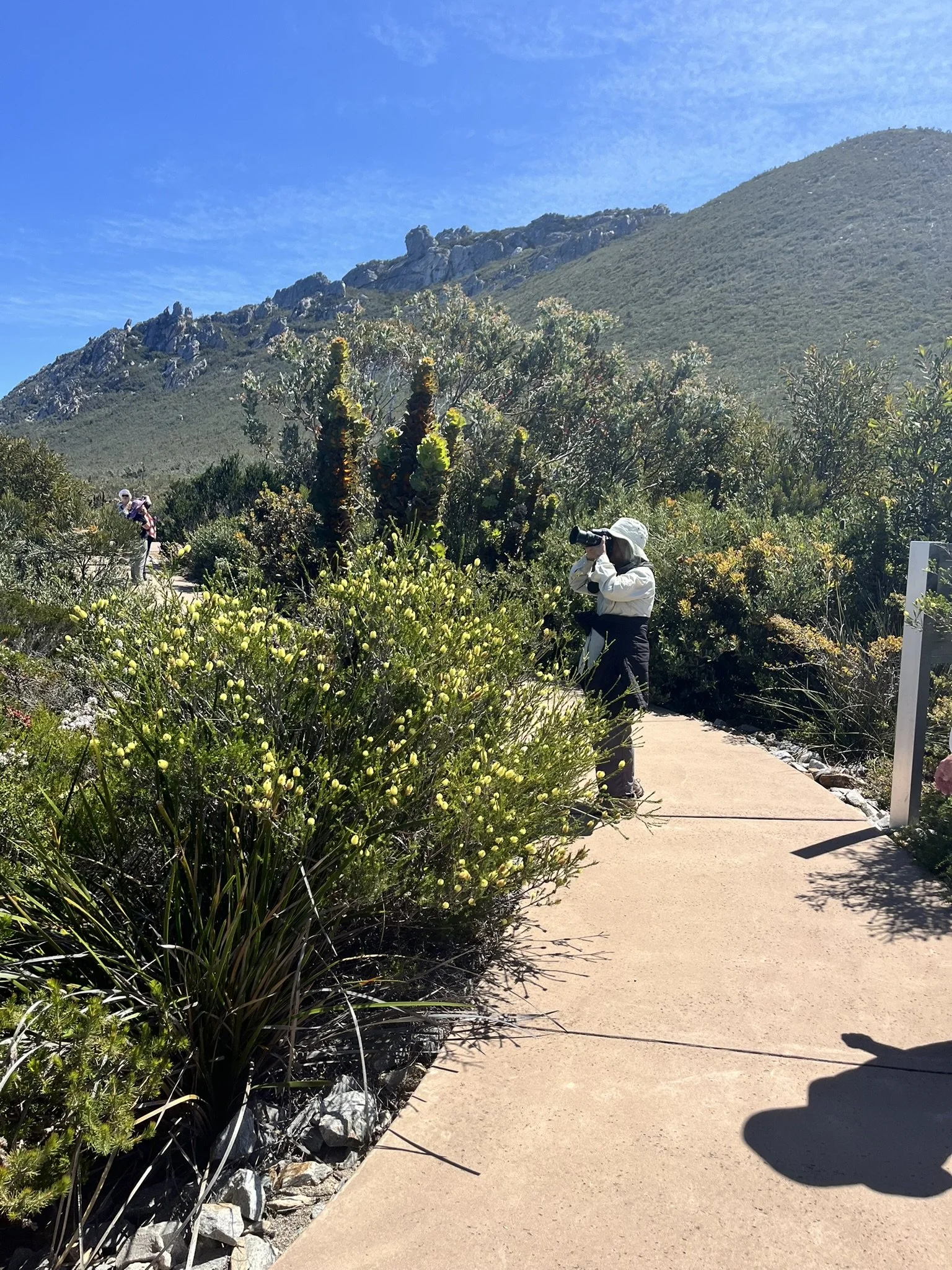 Look out - Fitzgerald River National Park