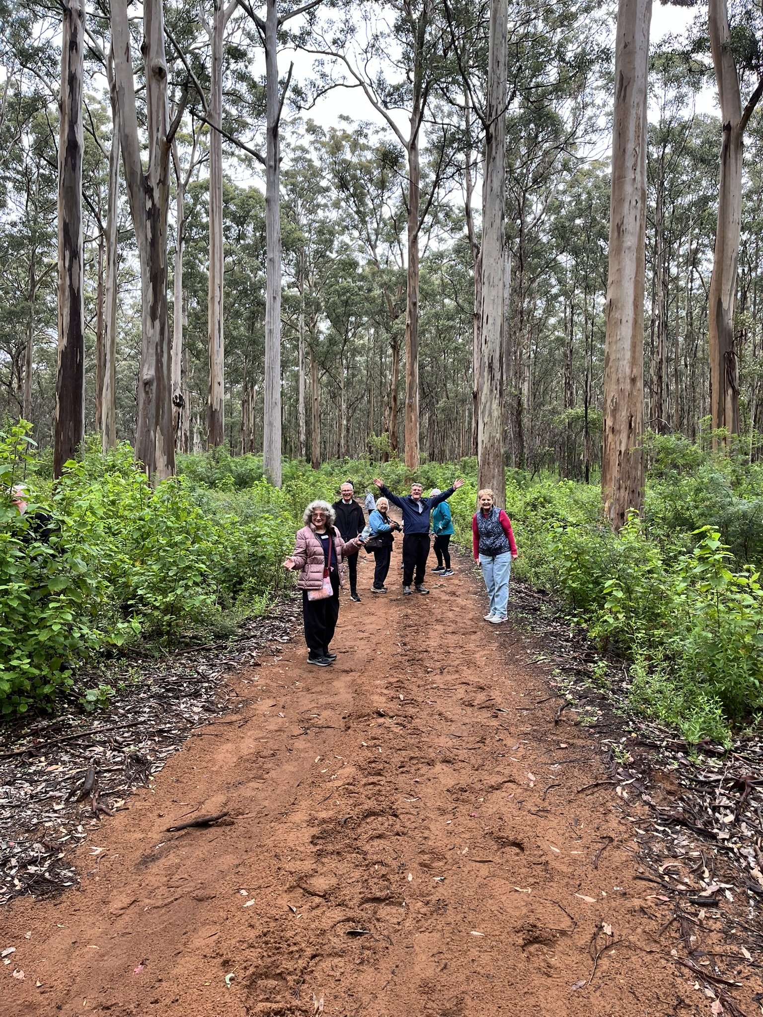 Boranup Karri Forest
