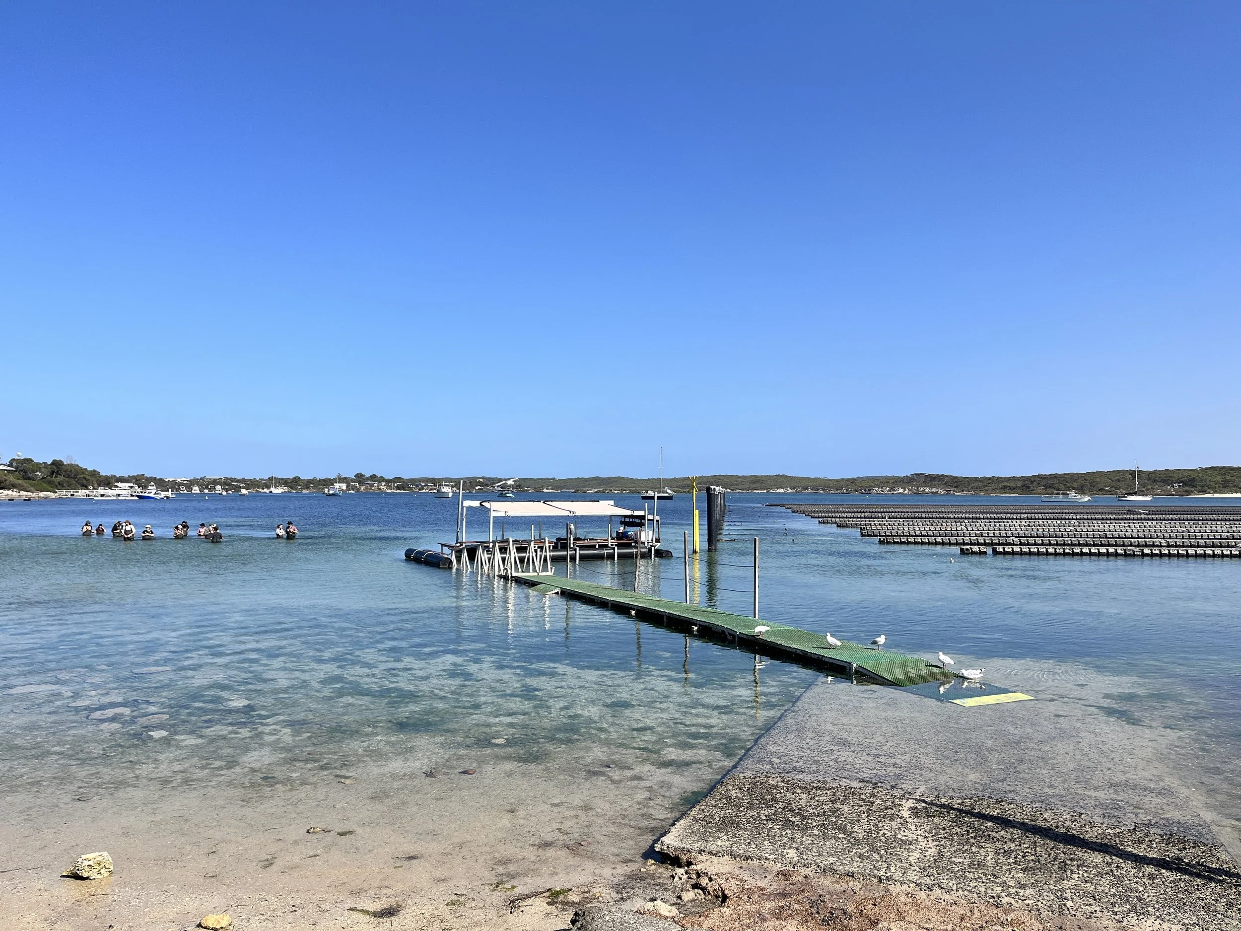 Coffin Bay Oyster Farm Tour