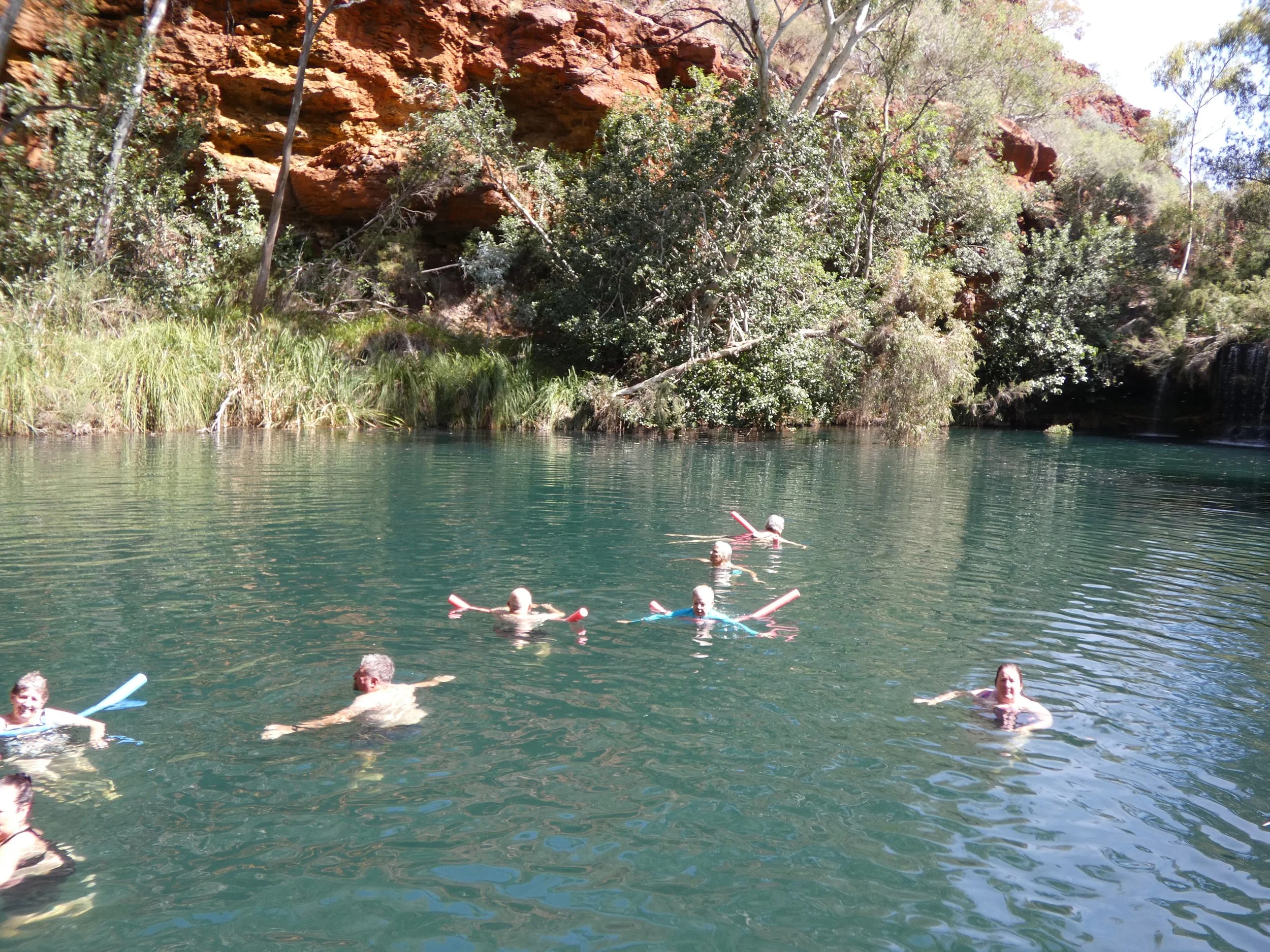 Fern Pool Karijini National Park
