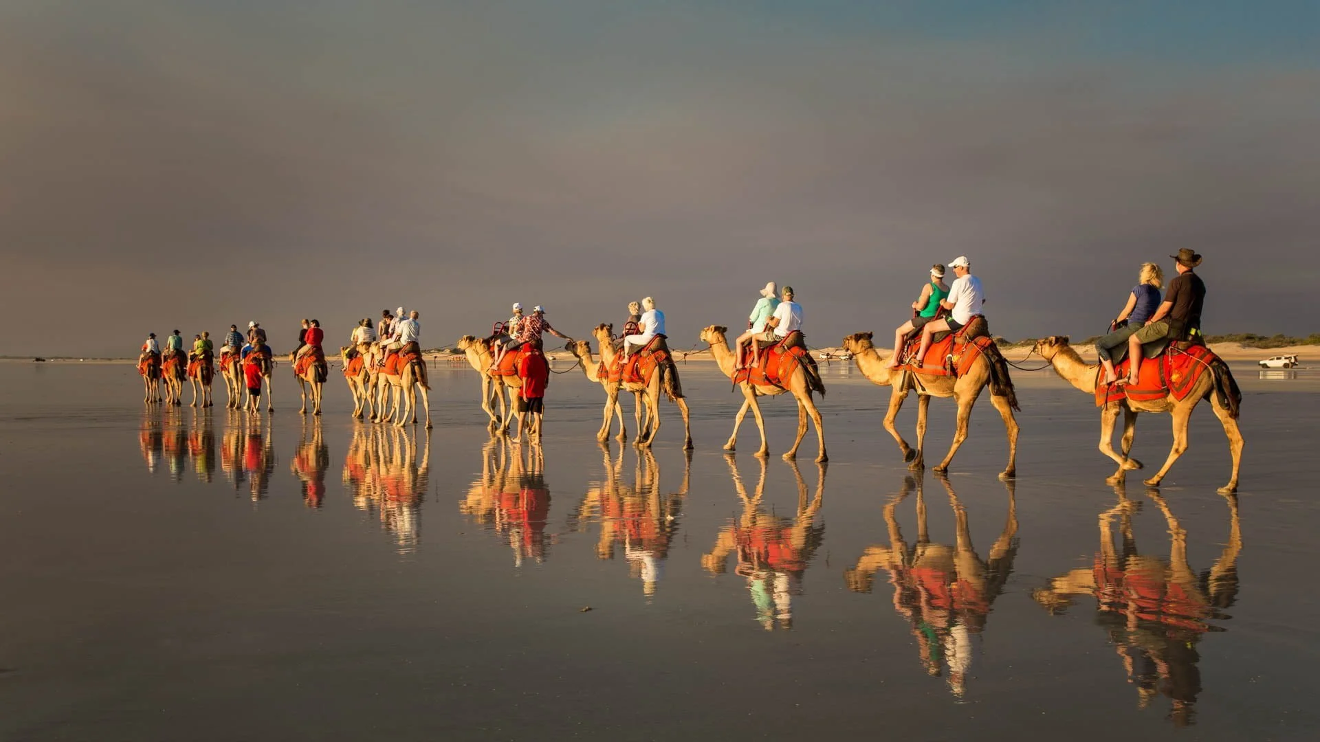 Cable Beach Camels