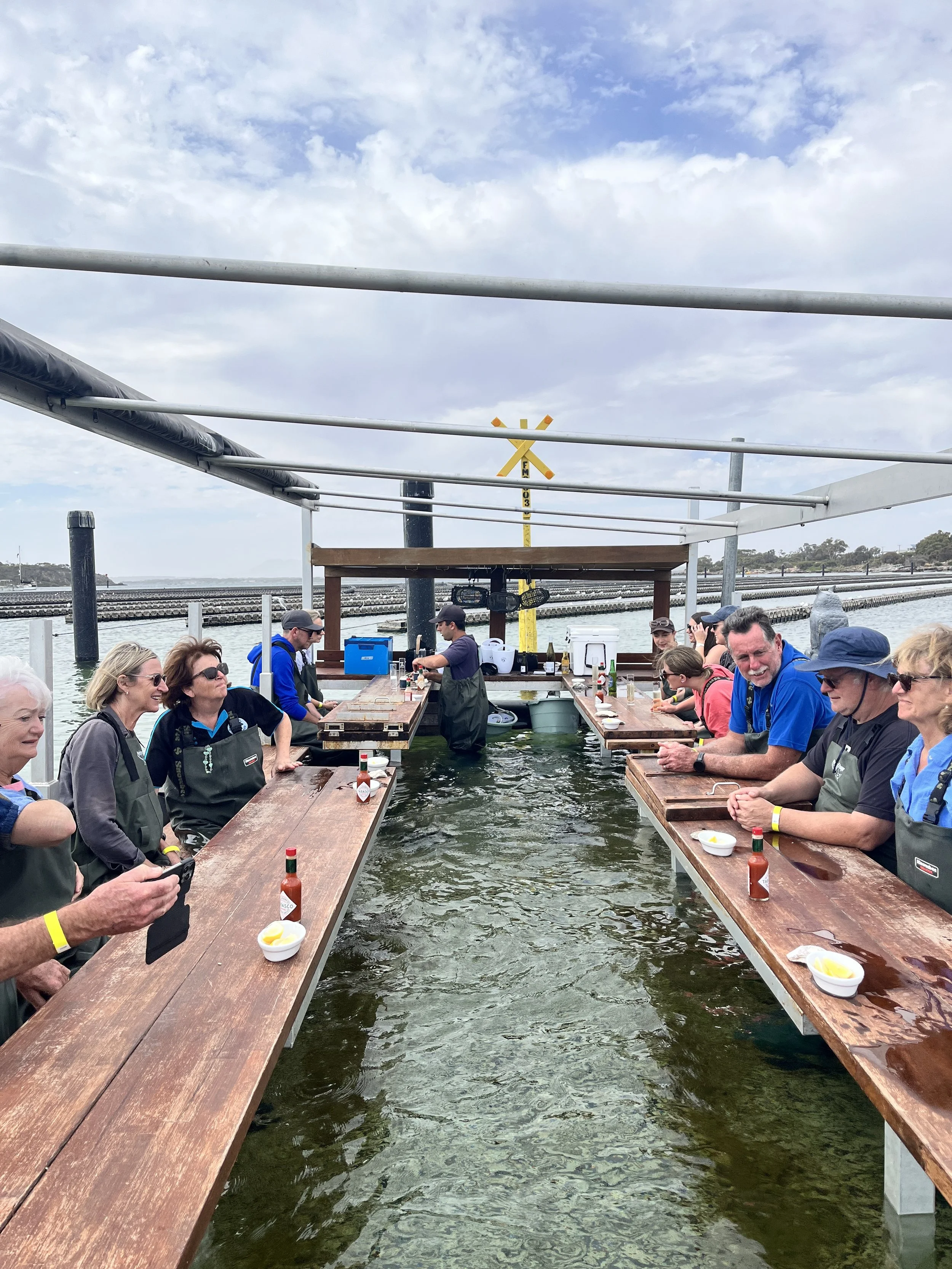 Coffin Bay Oyster Farm tour