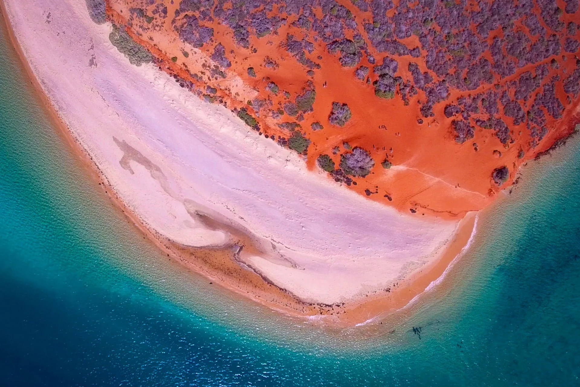 Shark Bay Colours