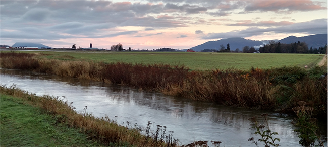 Floodgates, Farmland, and Salmon - What Are the Facts