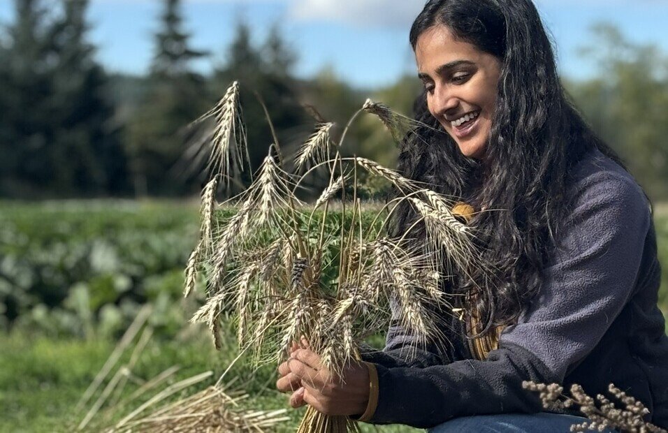 Breaking Boxes: Using the Imagination To Shatter Injustice