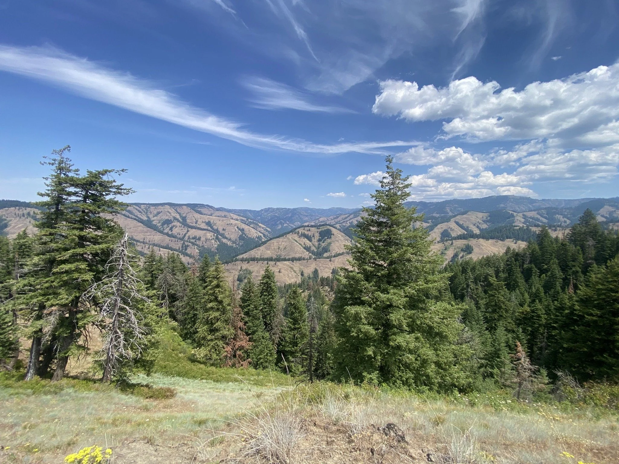 Beneficial Fire on the Landscape