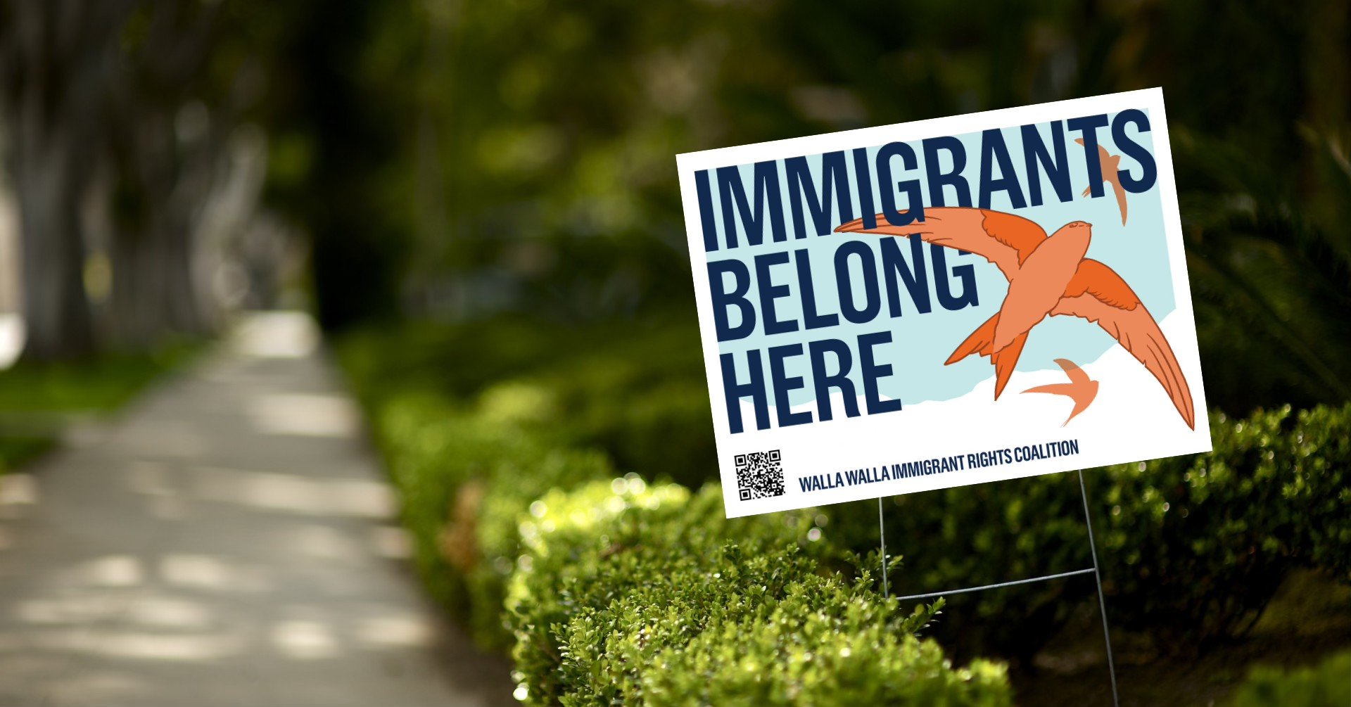 The Swift Solidarity Launch - Immigrants Rights Coalition