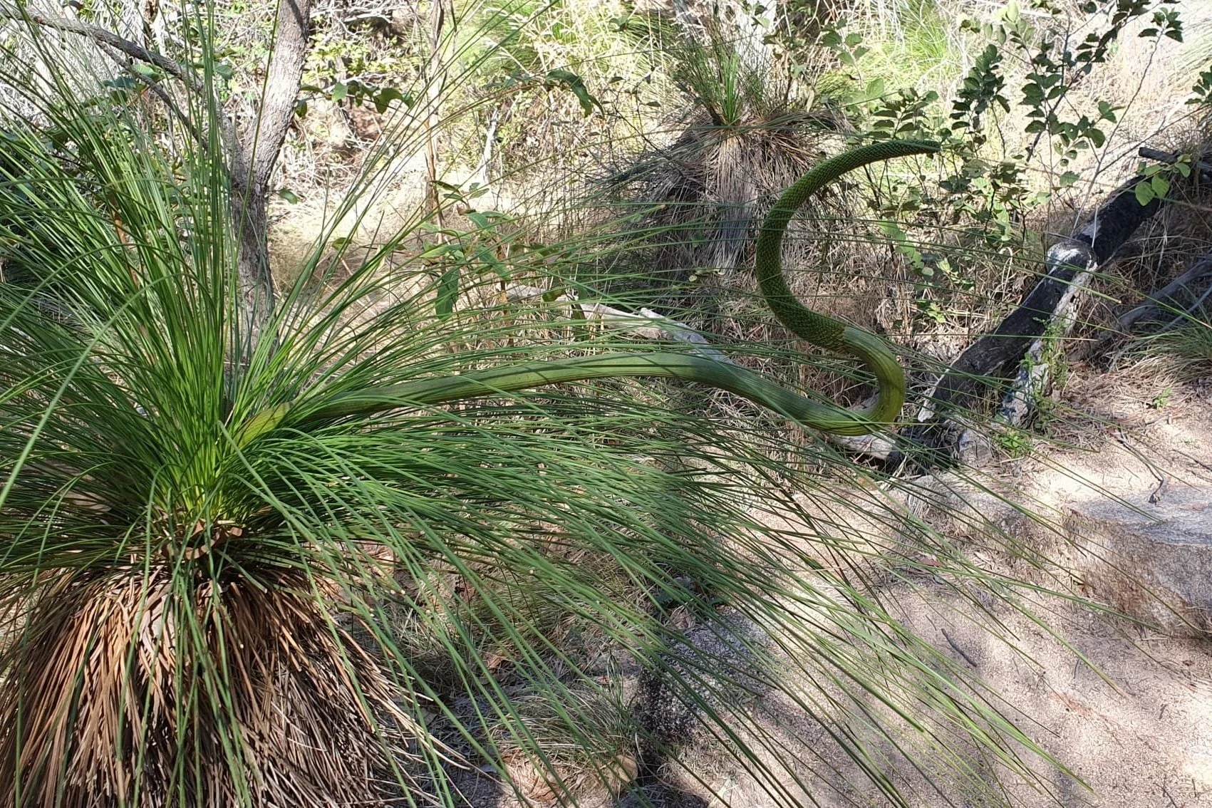 All That The Sun Touches