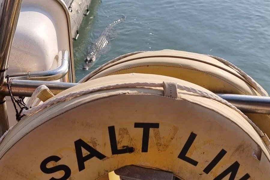 Is it a stick? Or is it a croc?