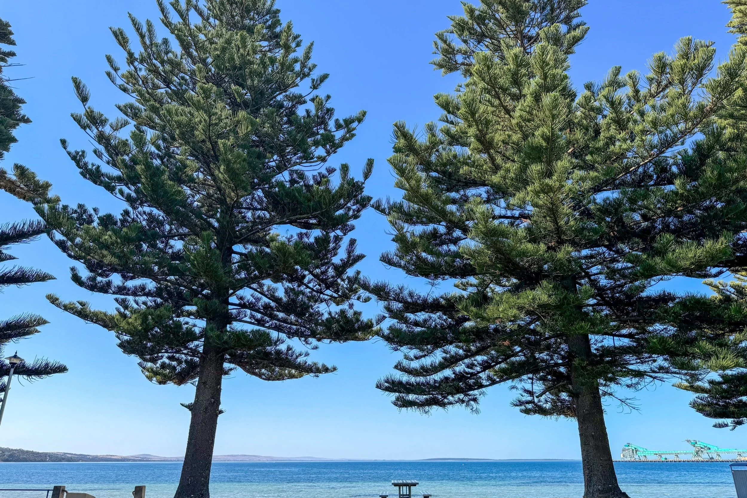 I left my tooth in Port Lincoln