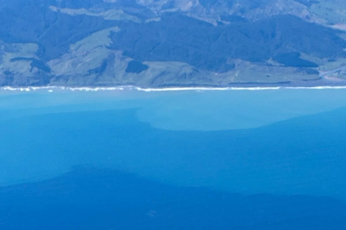 Freezing Rain oh my!