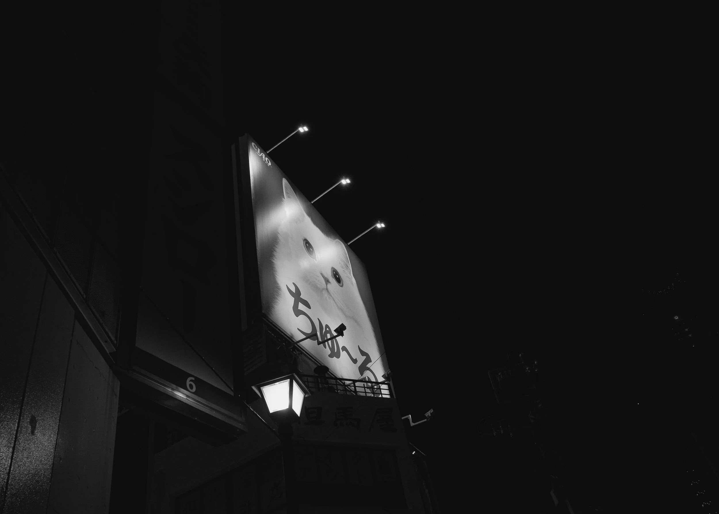 brendan-obrien-tokyo japan-street 02.jpg