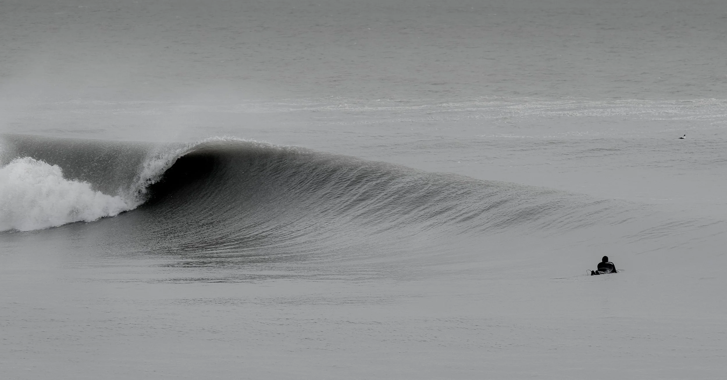 brendan-obrien-surf-new england-empty wave.jpg