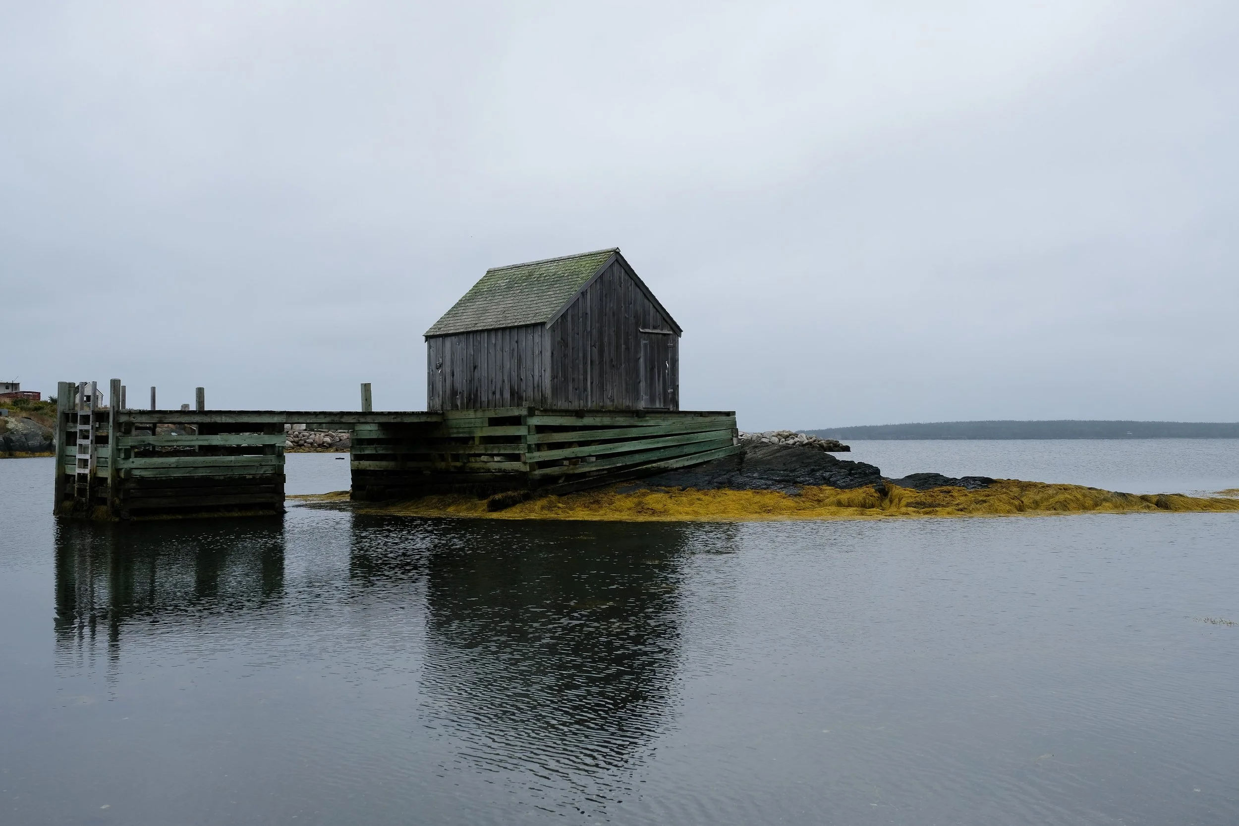 brendan-obrien-nova scotia-cabin.jpg