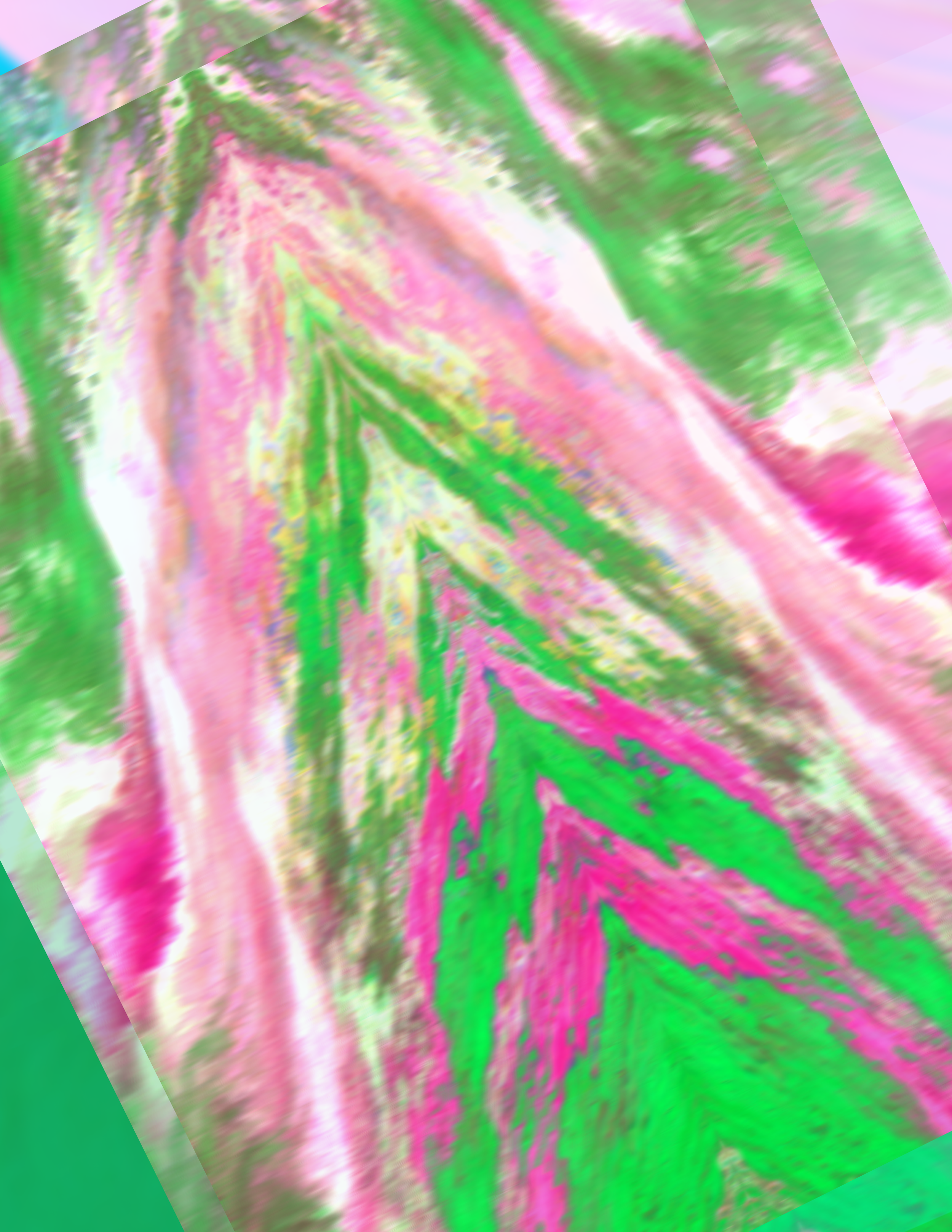 Untitled design.png