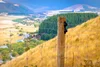 Reposte Fencing Repost - Premium Wooden Fencing Solutions in NZ