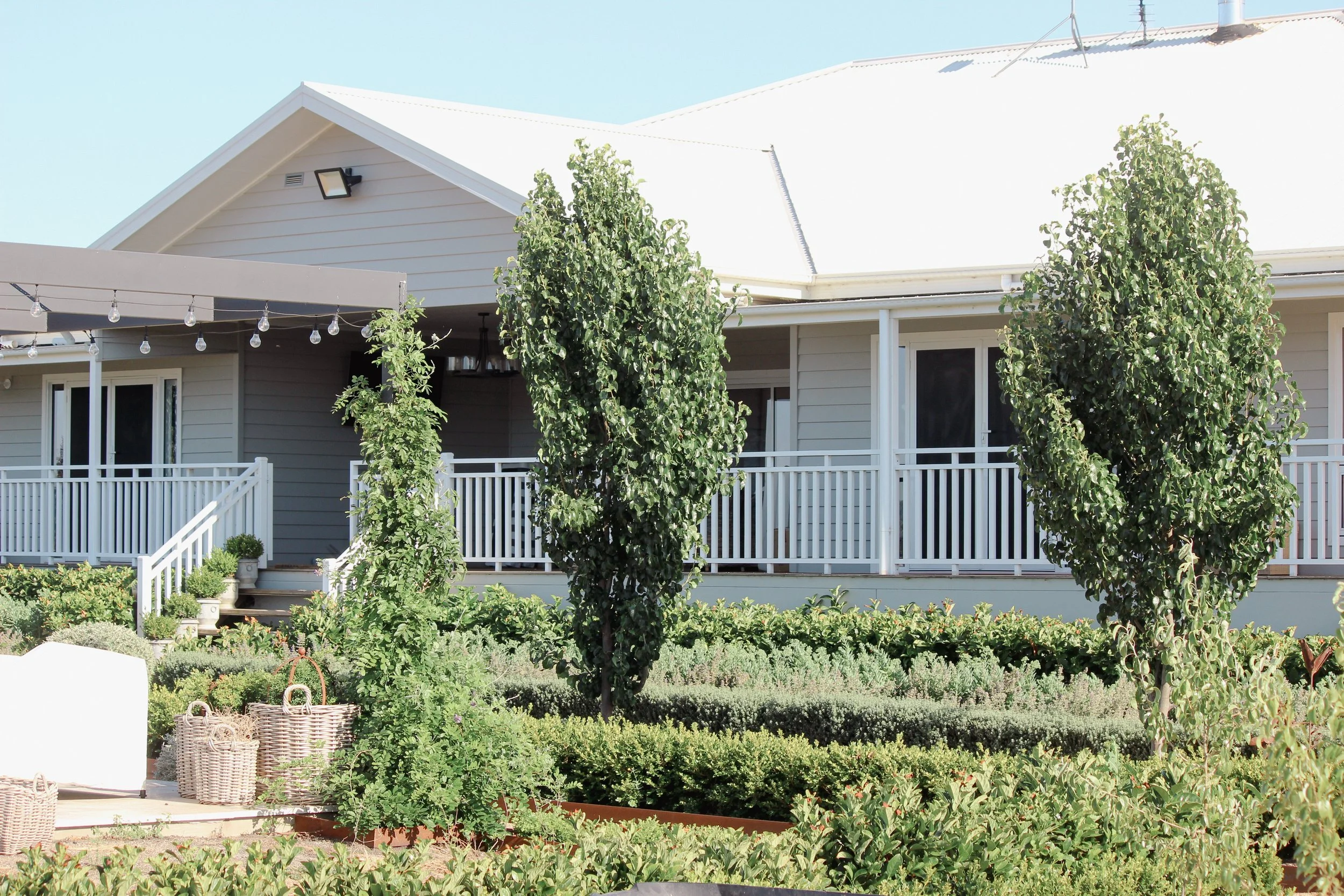 Formal hedges and tree lined back garden.