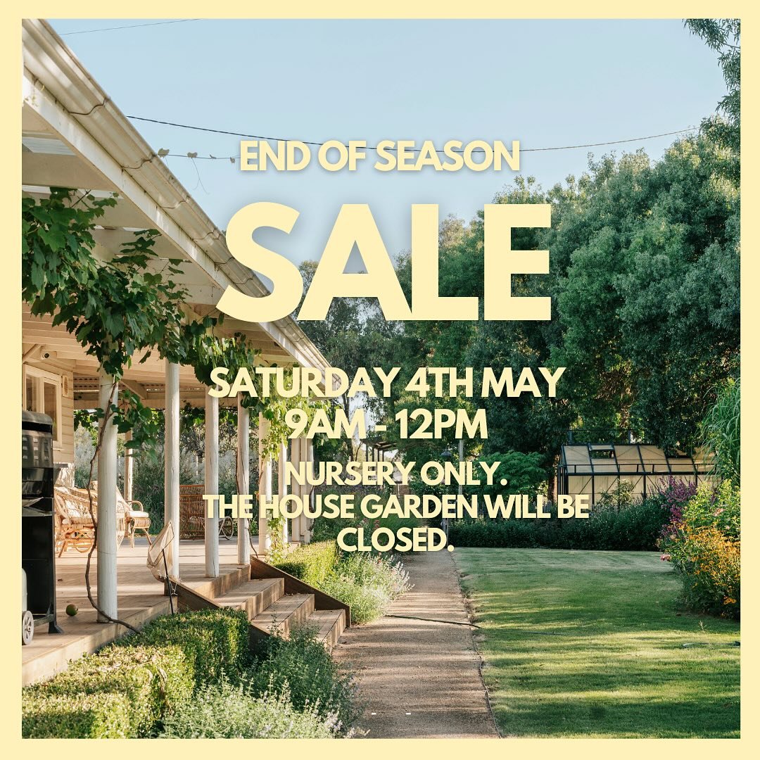 End of Season Sale next Saturday 4th May 9am - 12pm. 

We&rsquo;ll only be opening the Nursery for plant sales, the house garden unfortunately won&rsquo;t be open. 

There may be a few dusty heads post Gold Cup but if there&rsquo;s something you&rsqu