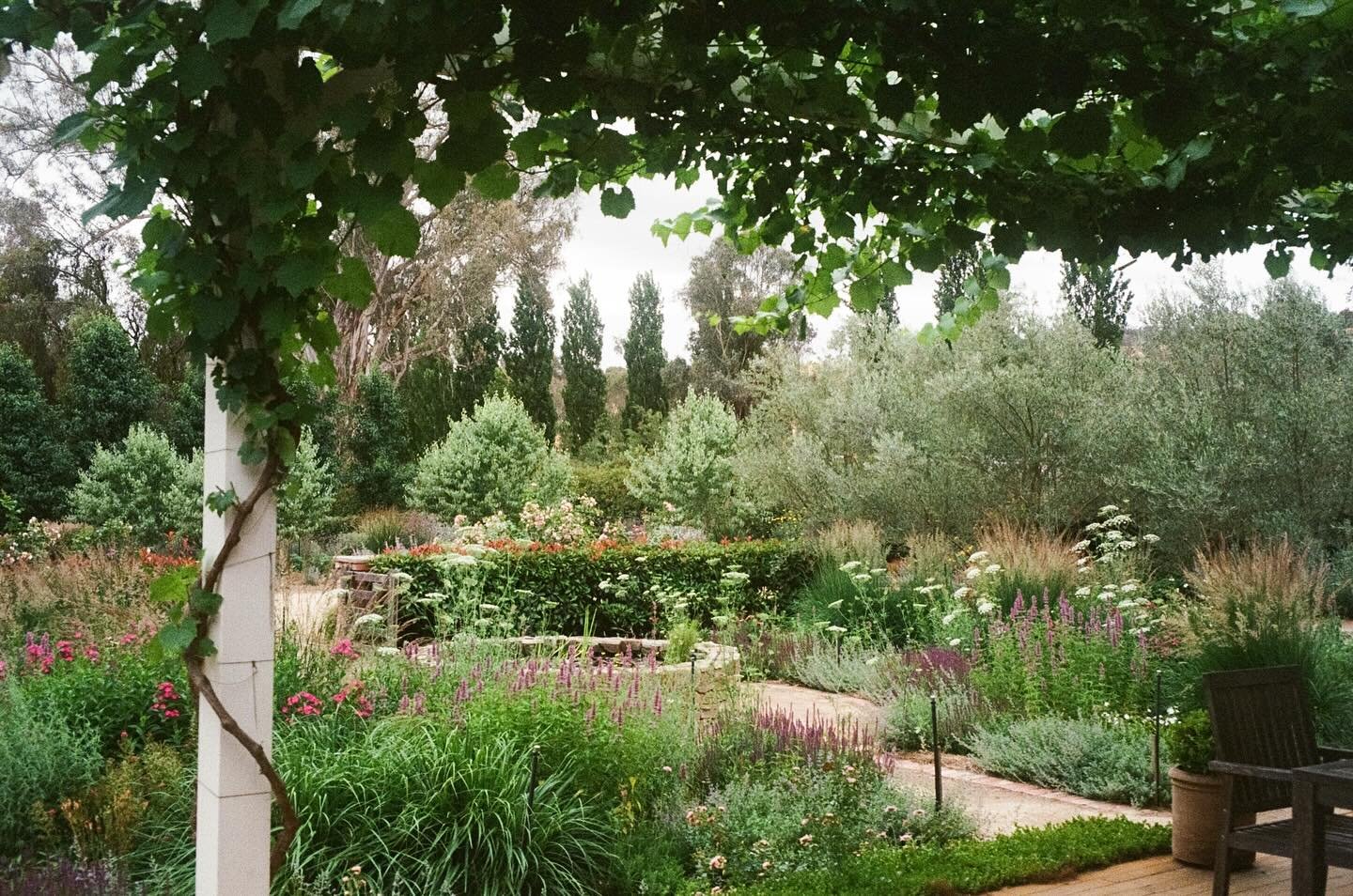 I got a few film shots of the garden this time last Spring and thought I&rsquo;d share them with you all. They&rsquo;ve turned out quite well if not a bit moody.

Mostly green with a few flowers starting up, should be looking more colourful come our 