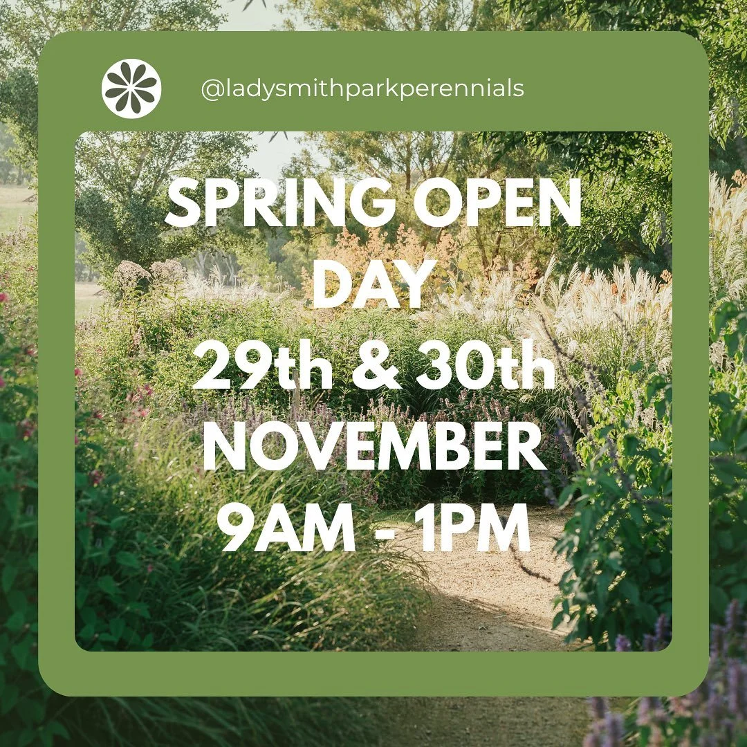 We&rsquo;re excited to announce the dates for our Spring Open Day! 🌸

Join us at hereLadysmith Park Perennials on November 29th &amp; 30th and stroll through the gardens. Explore a curated collection of beautiful perennials, ornamental grasses and h