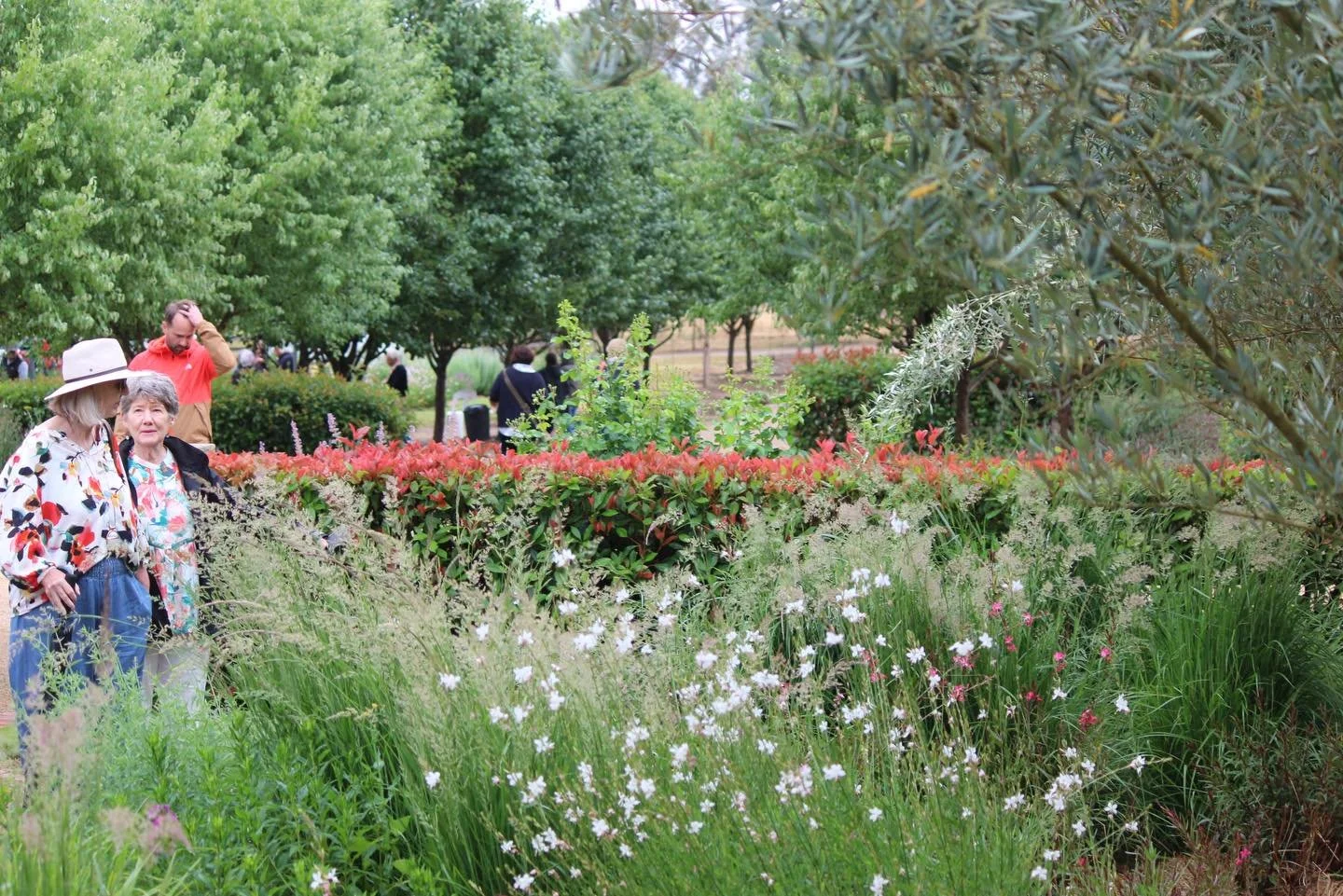 What an incredible weekend we had here at LPP ❤️ 

A HUGE thank you to everyone who braved the rain and came out to support us for the Open Day! It was awesome to see so many of you and a special thanks to those who travelled so far to be here.

We l