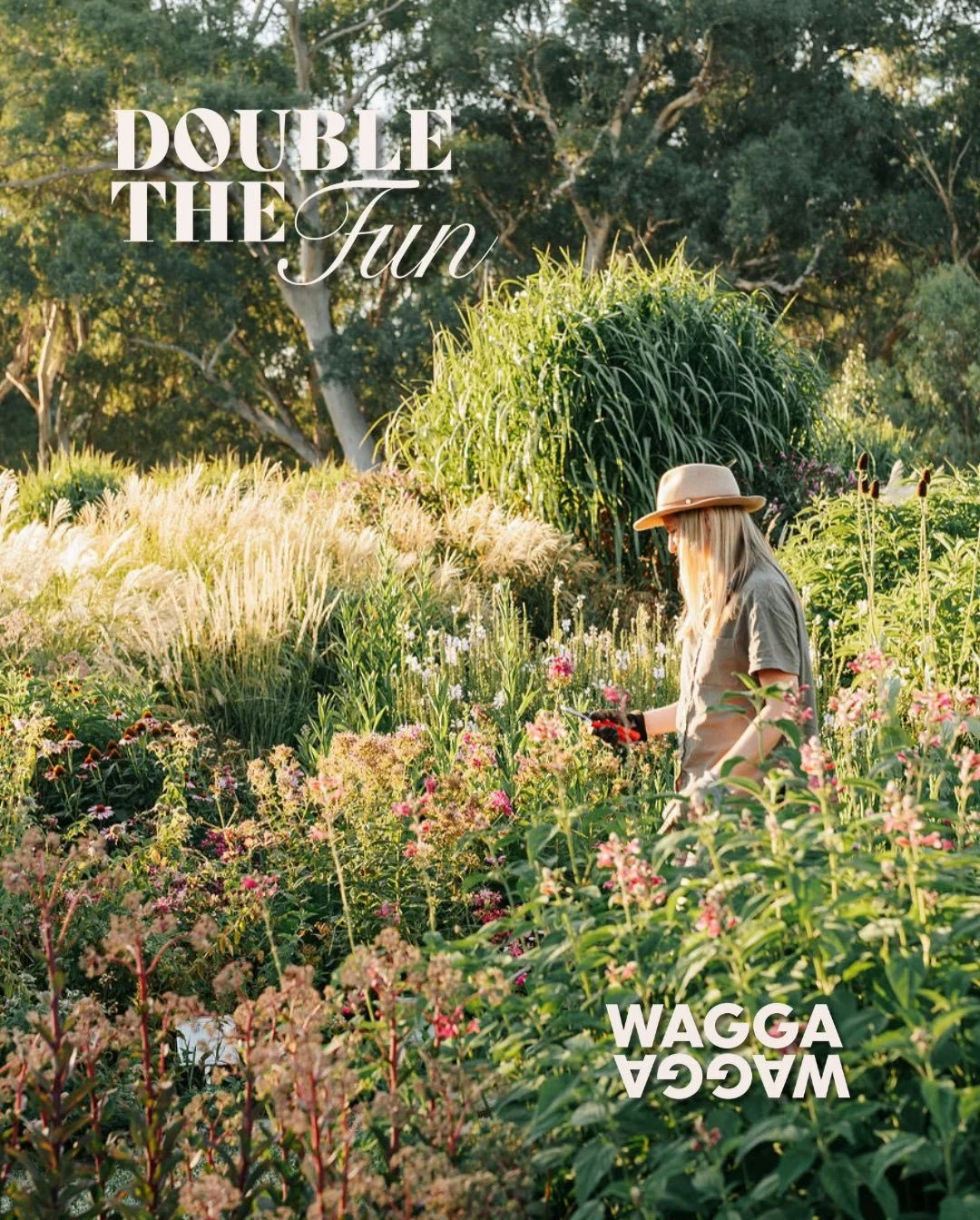 We&rsquo;re thrilled to partner with @visitwaggawagga for the official Wagga Wagga ~Double The Fun initiative 

At Ladysmith Park Perennials, we&rsquo;ll be hosting a series of &lsquo;Perennials and Pinot&rsquo; events starting early next year! 🌸🌿
