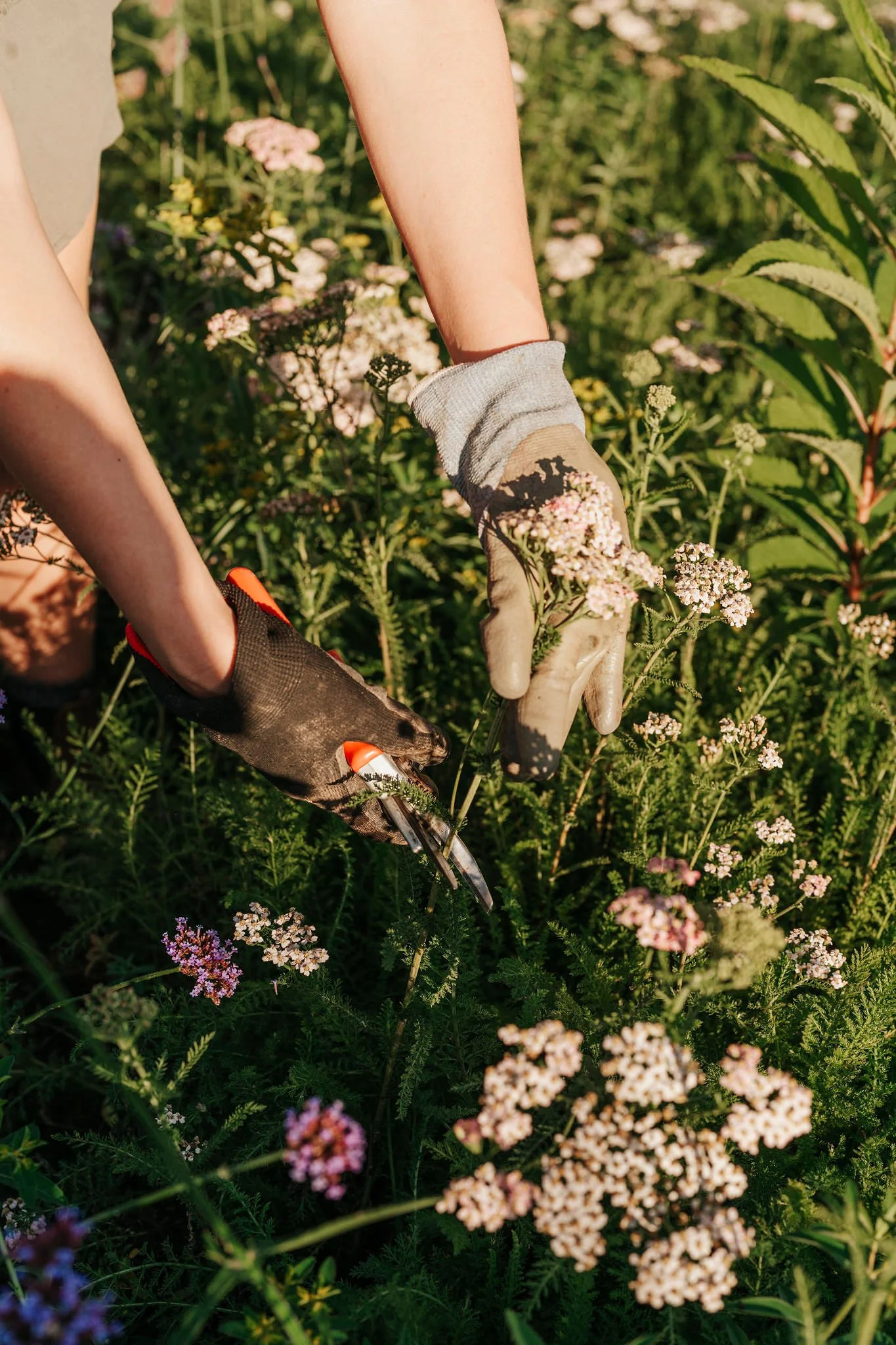 Low-Maintenance Gardens