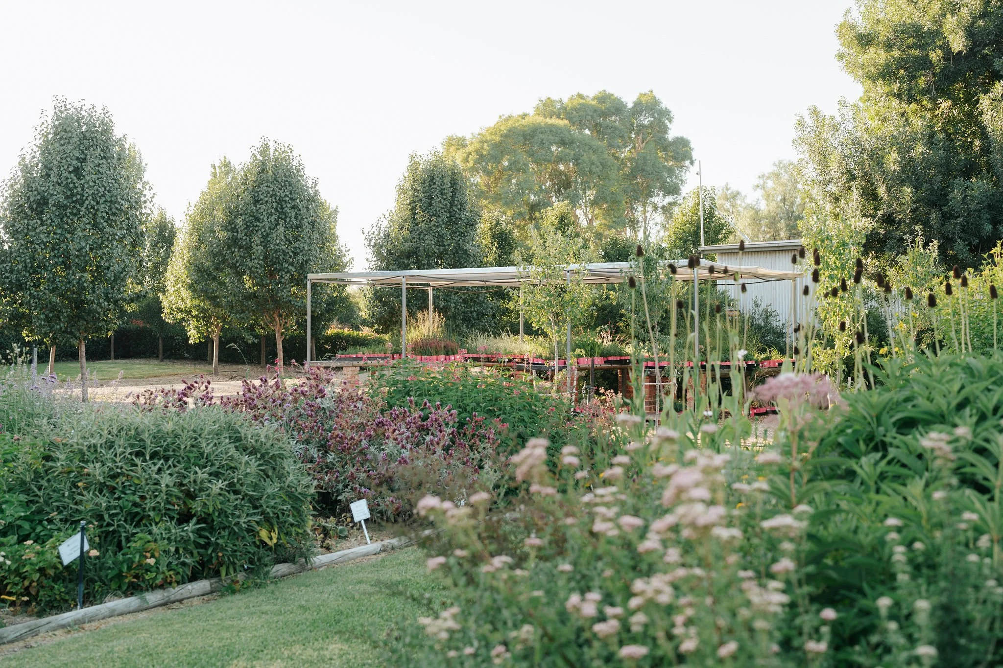 Designing for Biodiversity