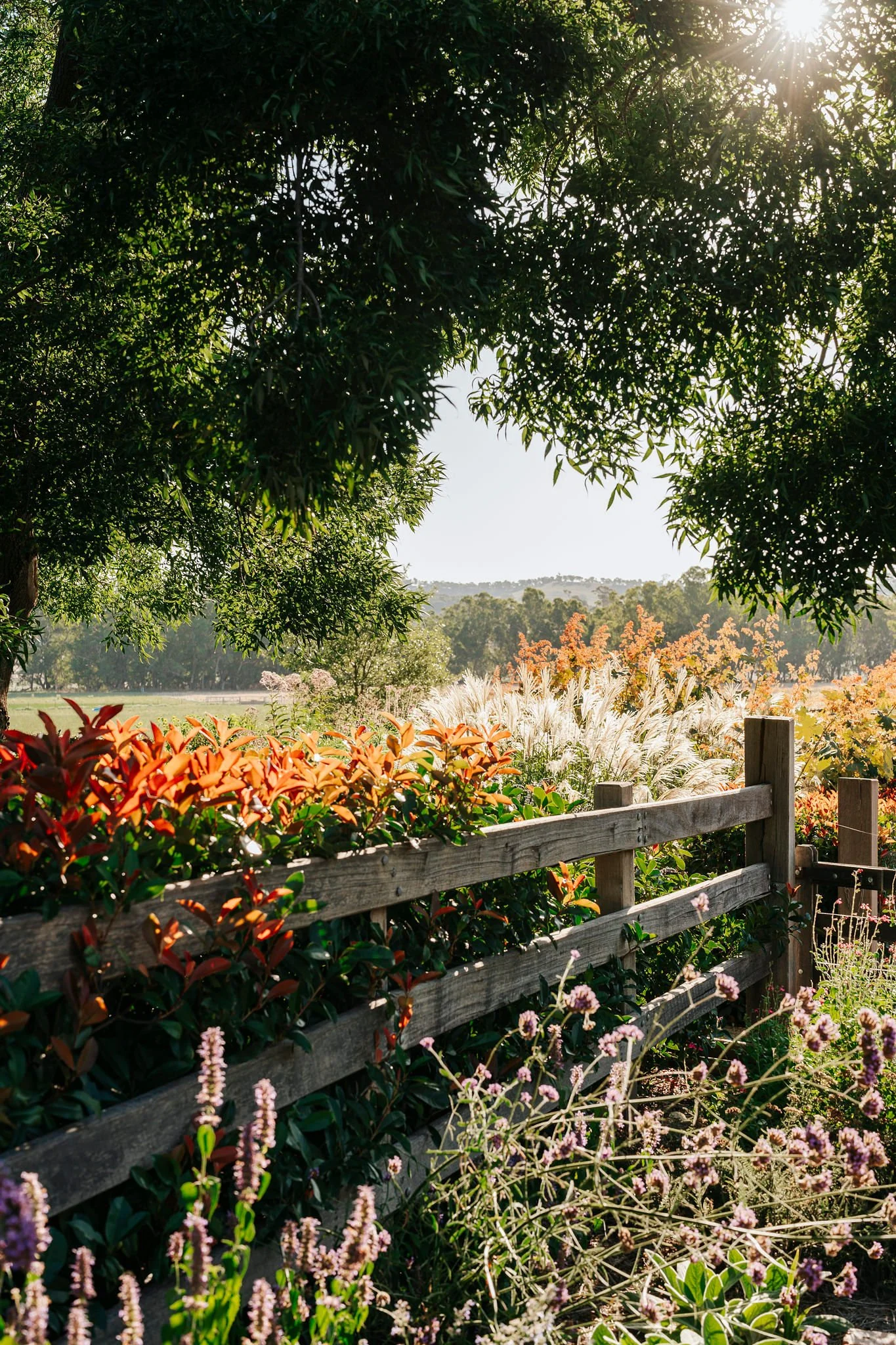 Letting a Garden Evolve