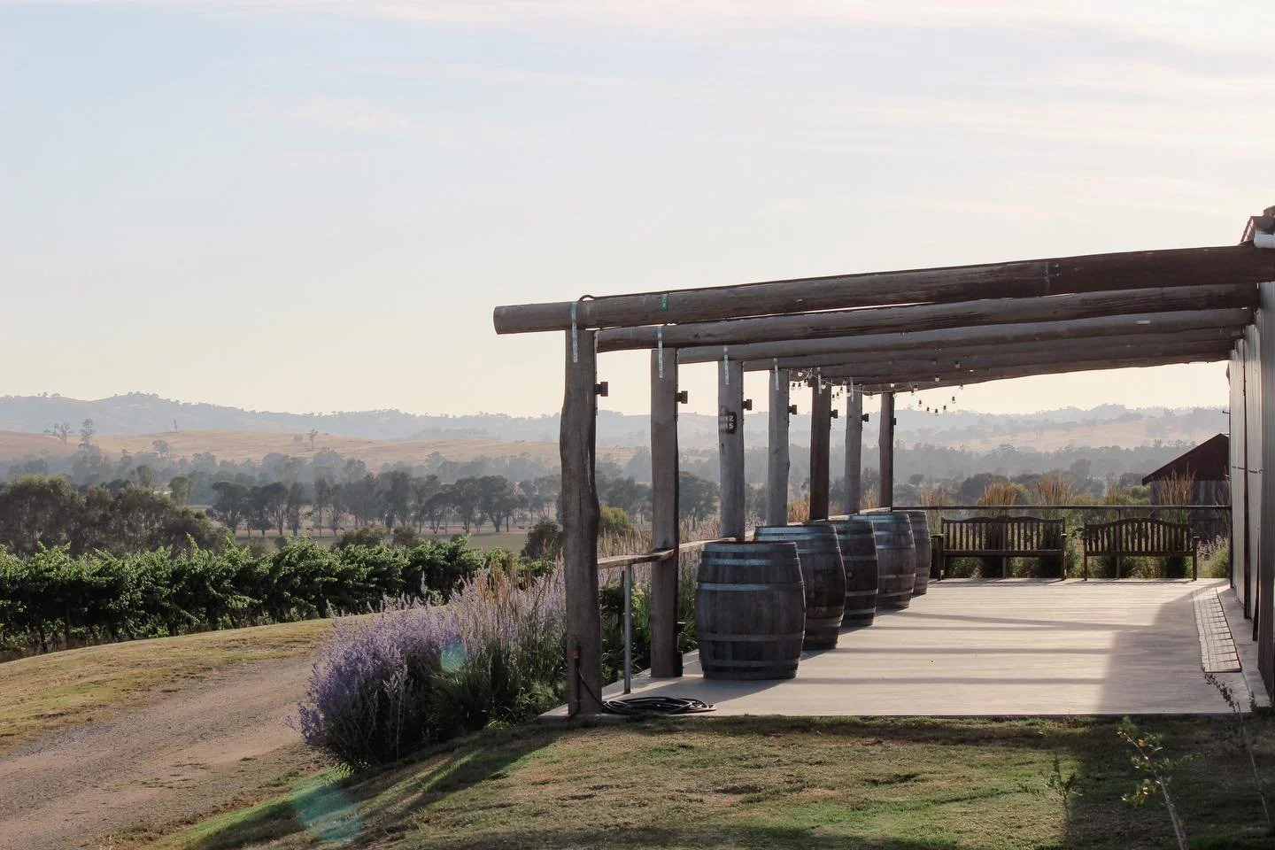 @borambolawines 🍷

One of our favourite projects!

Contemporary perennial and grass plantings frame sweeping views of the vineyard and distant hills. 

The beds were planted a few years ago and we love to see them out in full force. It&rsquo;s the p