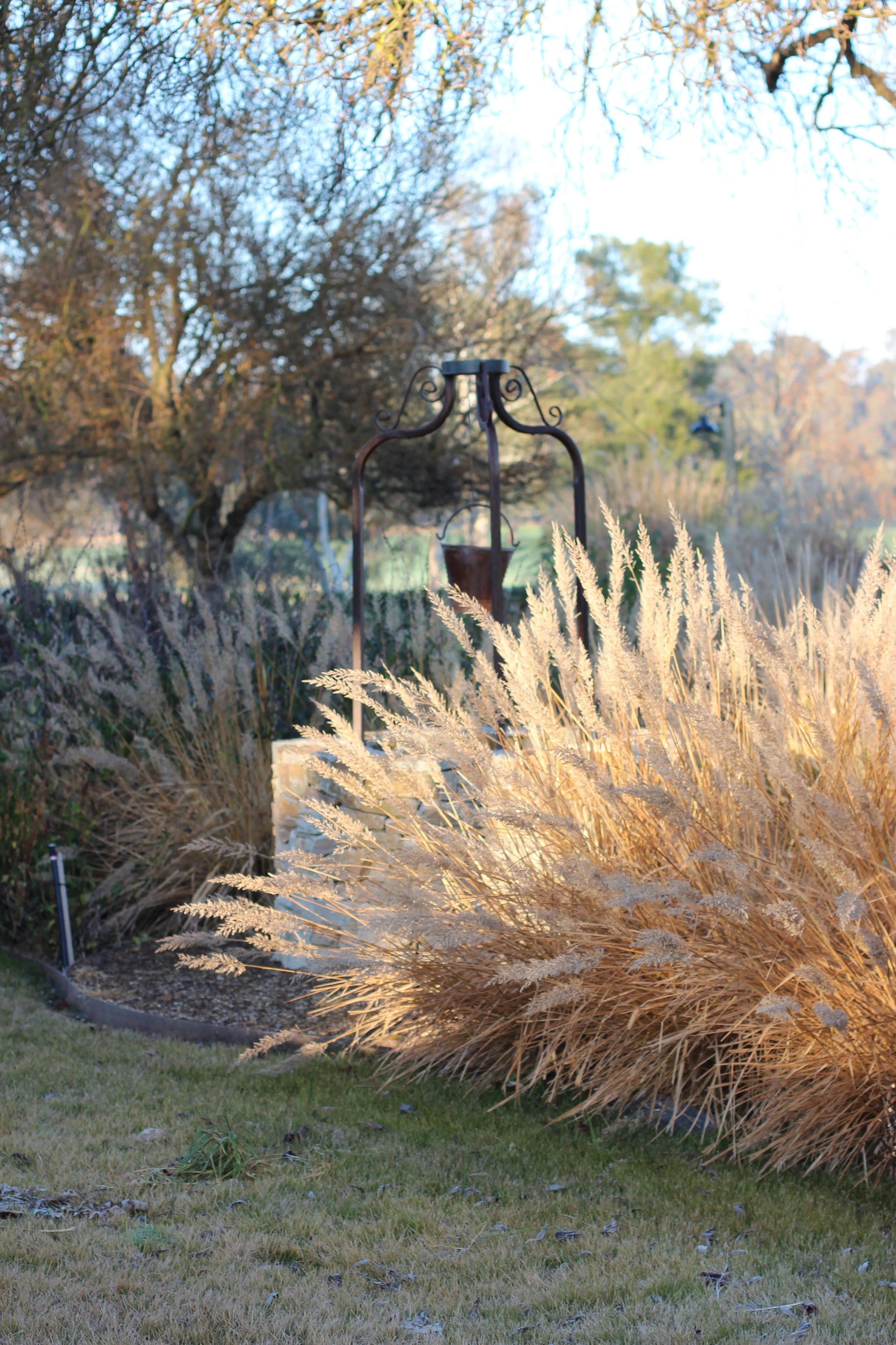 Seasonal Garden Care