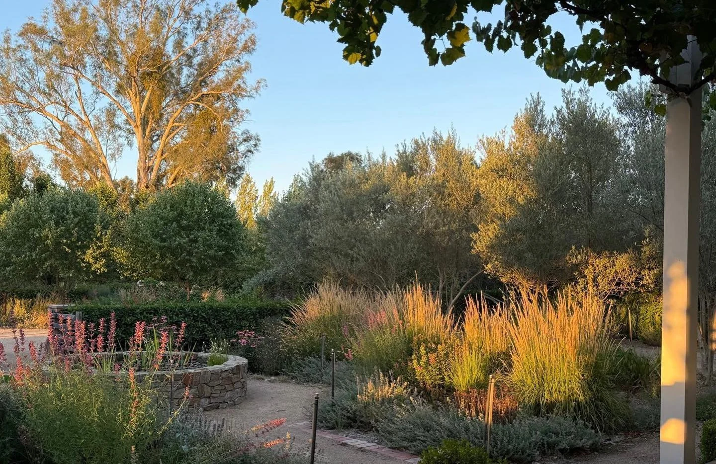 Soaking in these stunning Summer evenings before the next heatwave hits ☀️