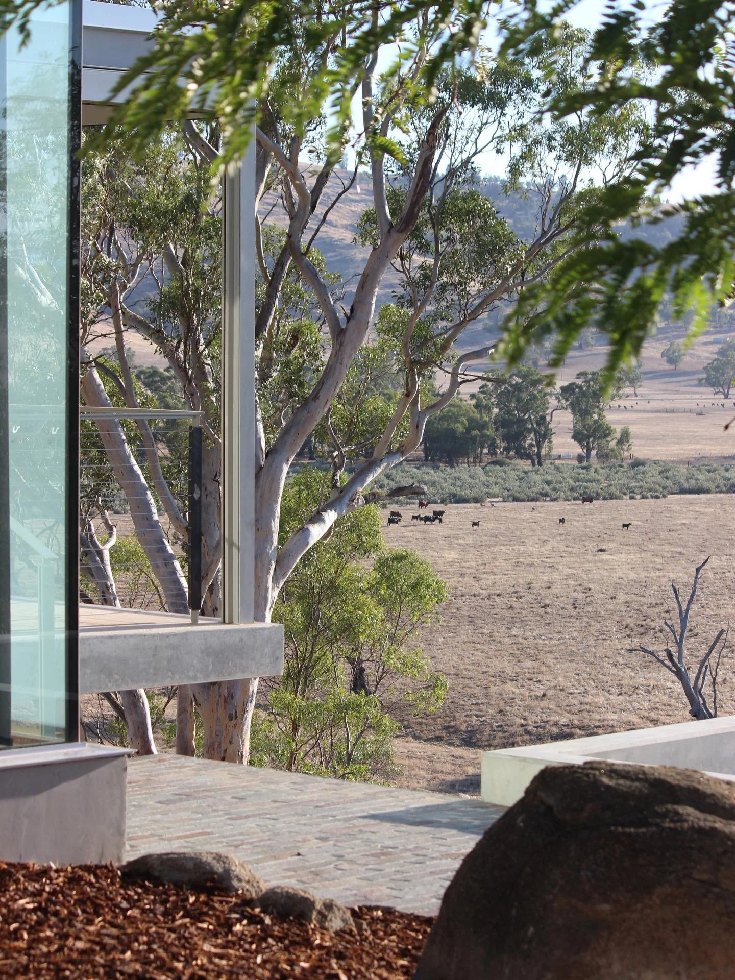Perched on a rocky outcrop high above the Murrumbidgee, this garden leans into its surrounding  environment with a naturalistic, dry tolerant planting palette. 

It&rsquo;s an ongoing project and we can&rsquo;t wait to see the progression 🌿

Archite