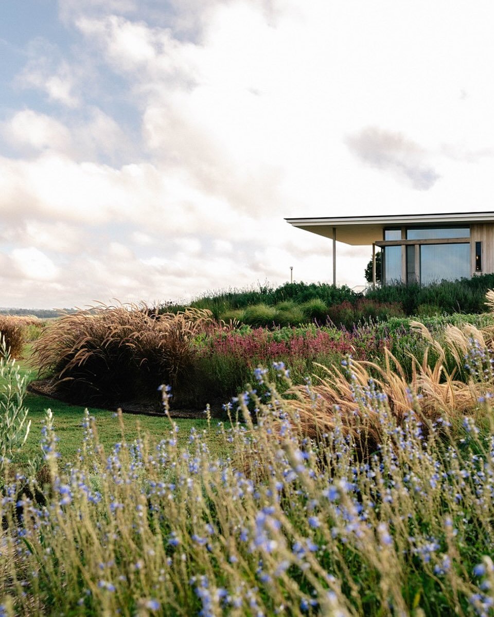A very unique project located in QLD where a mixture of Australian natives, herbaceous perennials and ornamental grasses are combined to create a landscape that mimics the patterns of nature and merges with the beautifully curated architecture. 

Arc