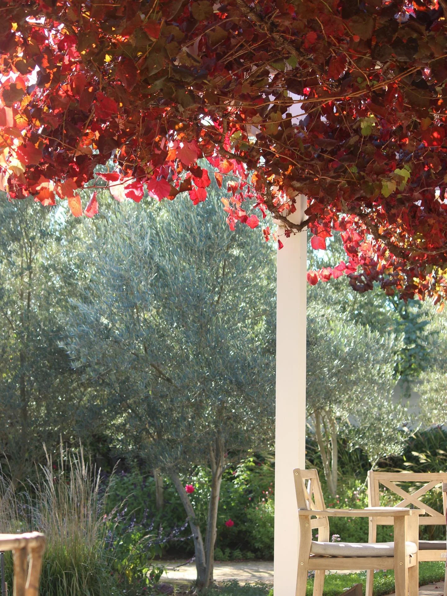 Soaking up these autumn days 🍁🍂

While the garden settled and the colours deepen, we turn to the hothouse - propagating and preparing for the season ahead.